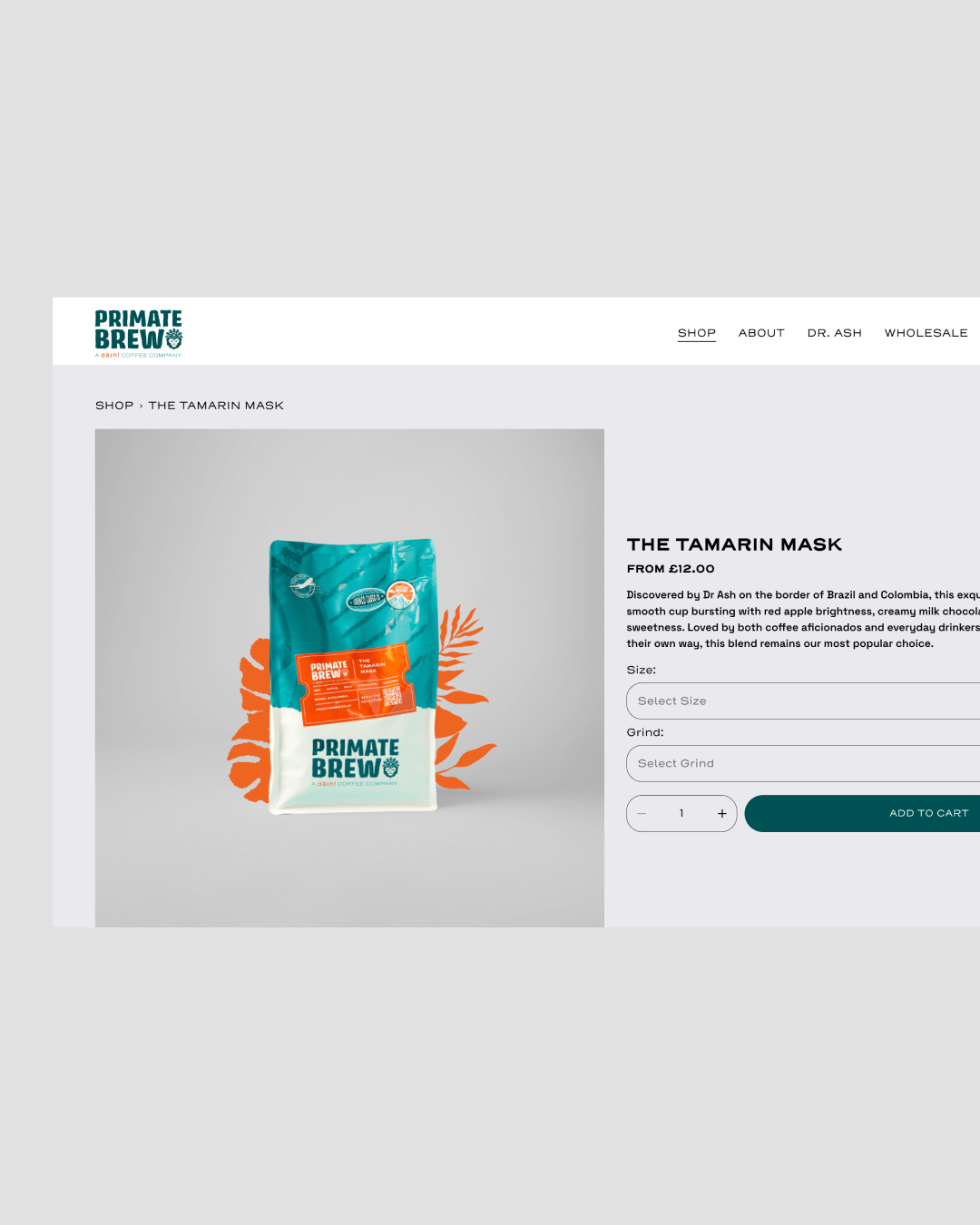 PB_WEBSITE_06.png