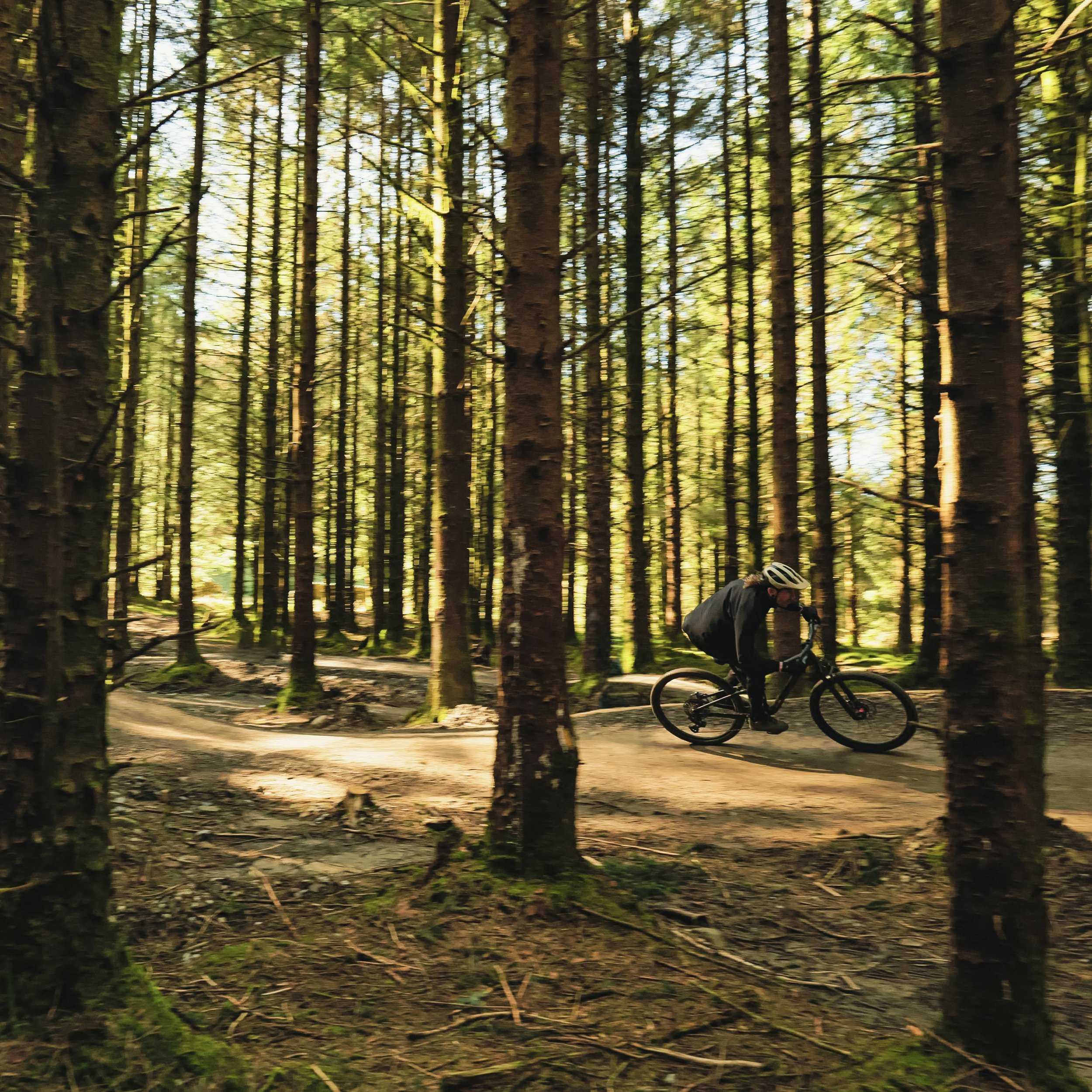 A person riding a mountain bike through a dense forest with tall trees and sunlight filtering through the branches.