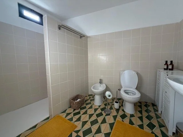 bathroom of a rustic holiday apartment in central Portugal with shower area, toilet, bidet, sink, and patterned tile floor
