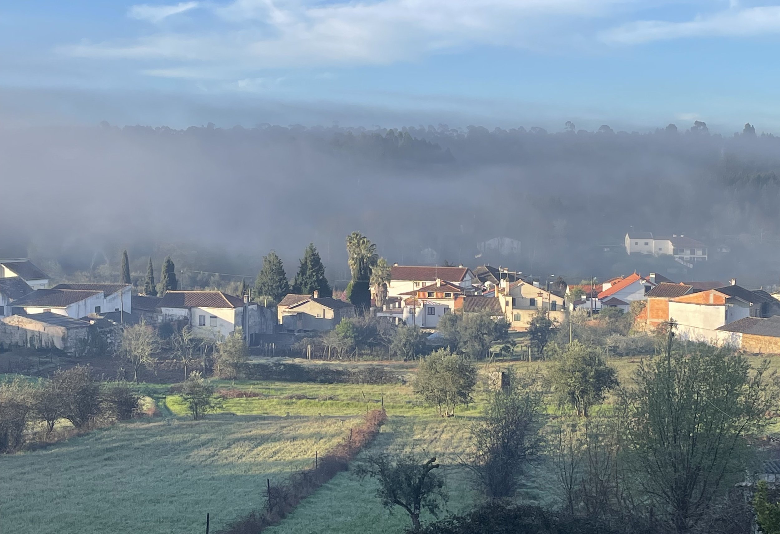 countryside landscape with green fields, trees, and mist in central Portugal, with a village in the distance near the holiday apartment