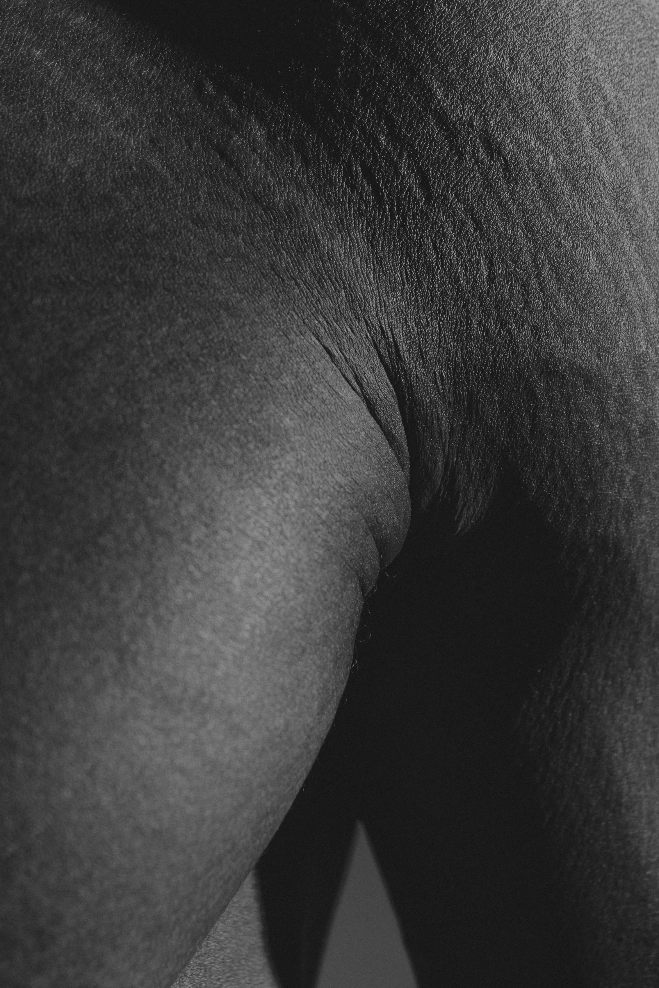 20140123-DSC_9172.jpg