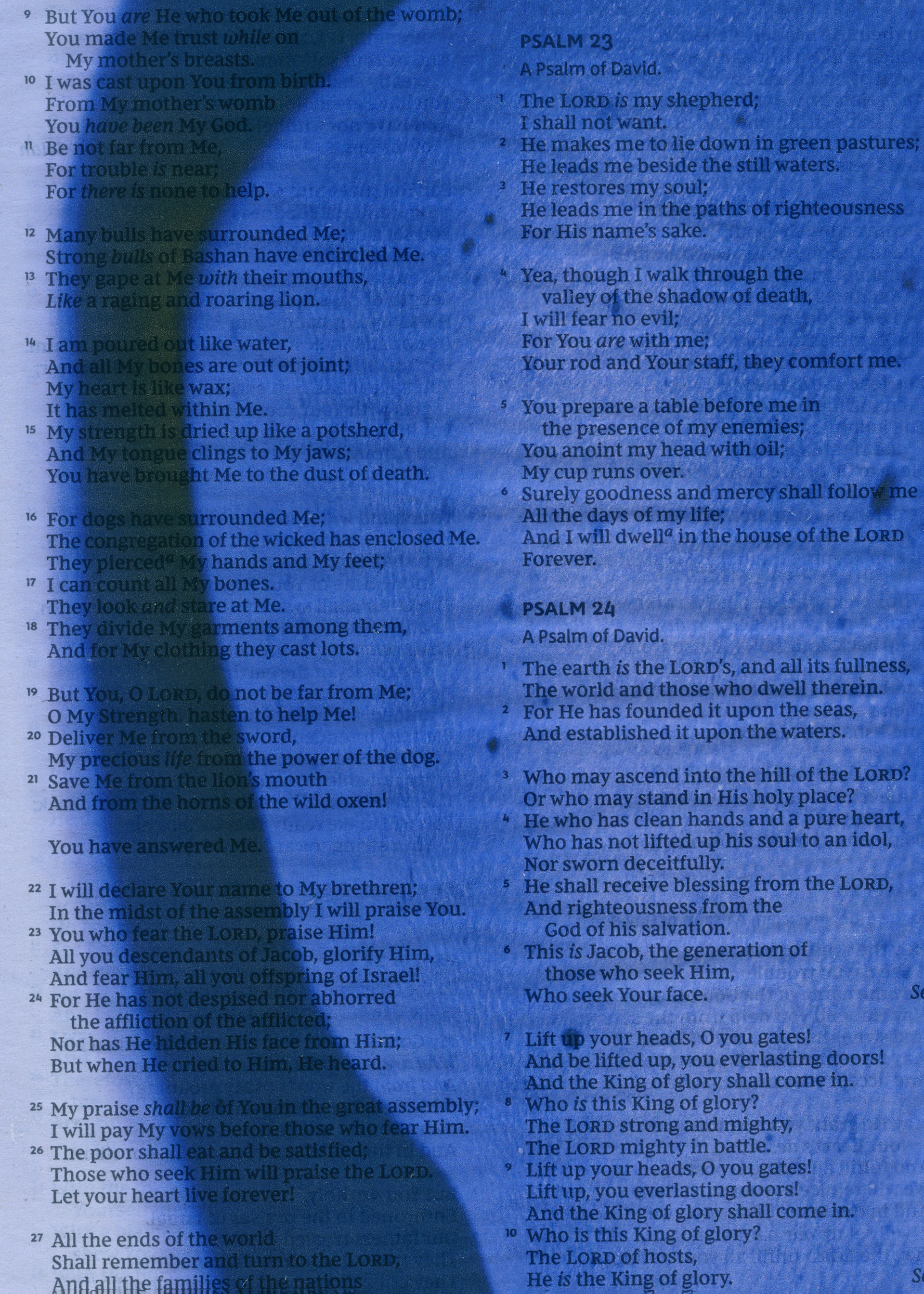 Blue Bible.png