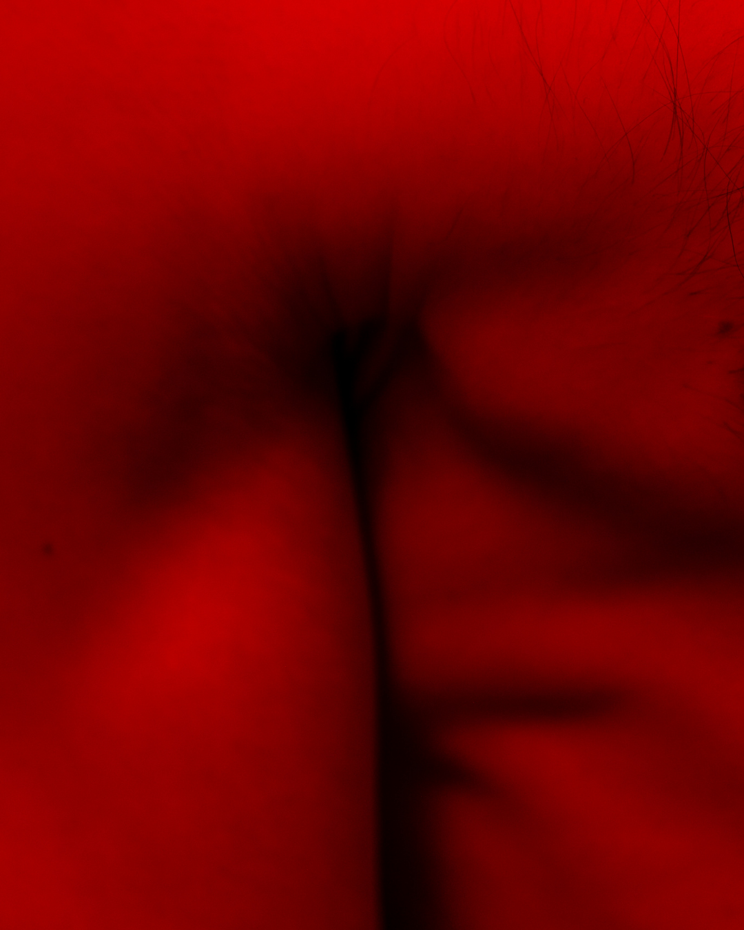 Red Bodies - 5.png