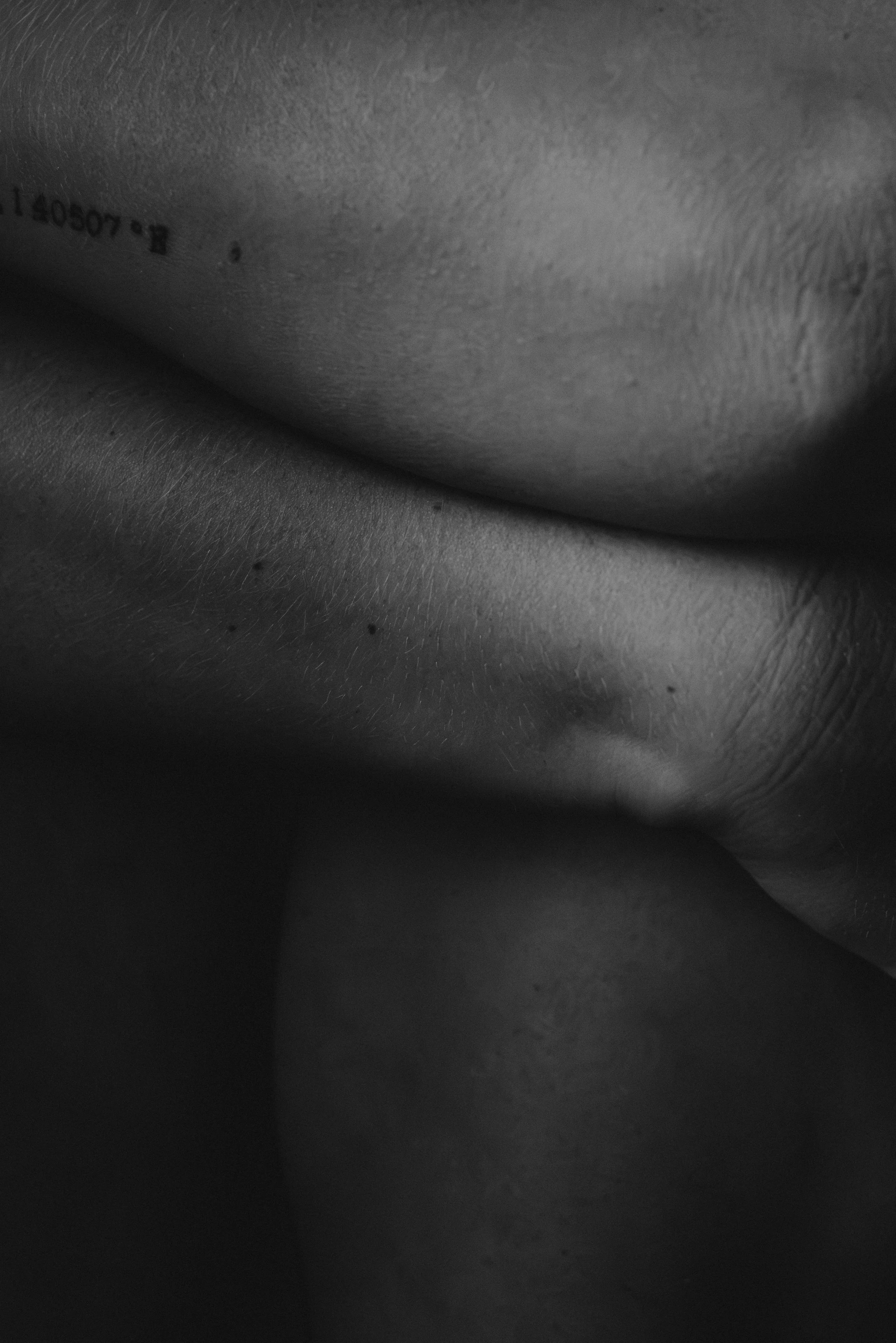 20260813-DSC_3579.jpeg