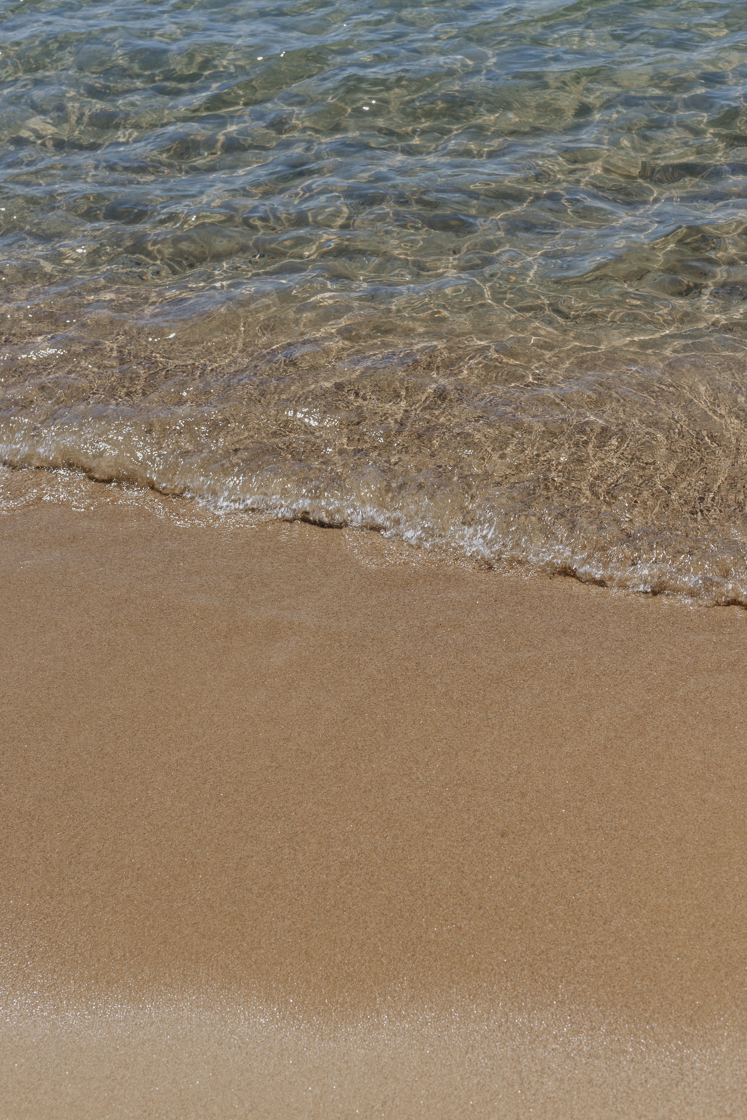 20140408-DSC_2580.jpg