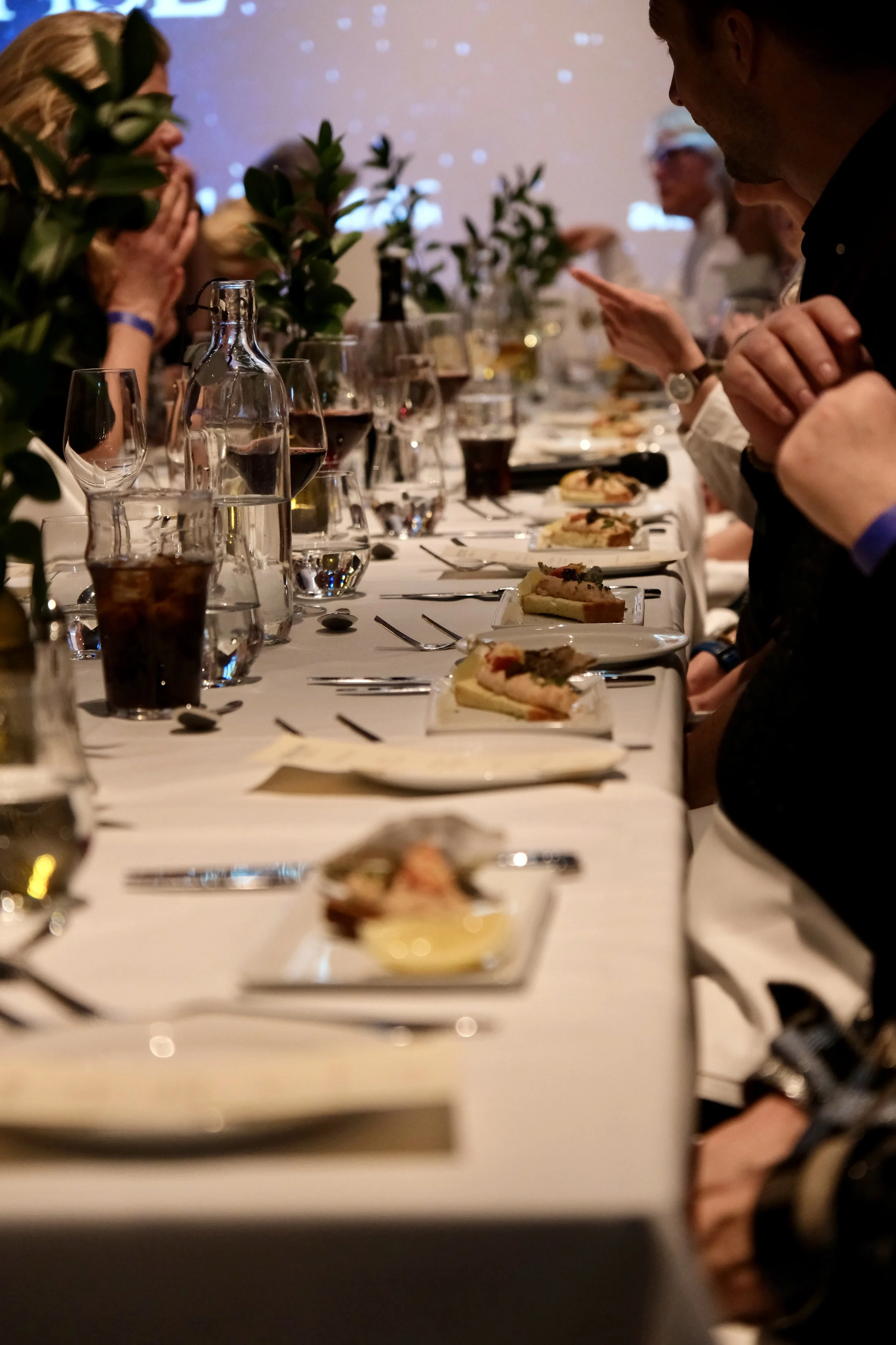 DSCF0895 3.jpg