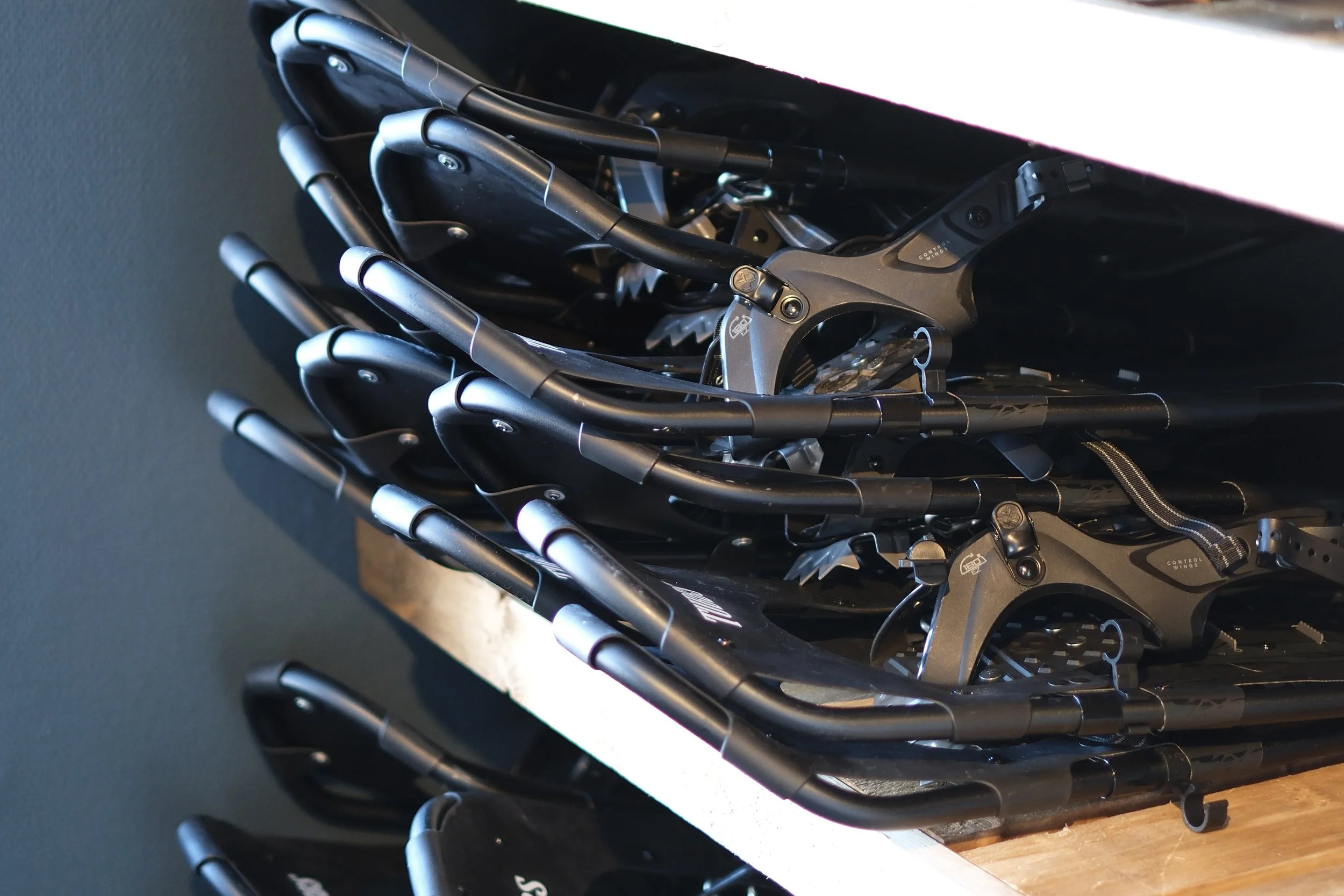 Snowshoe rentals
