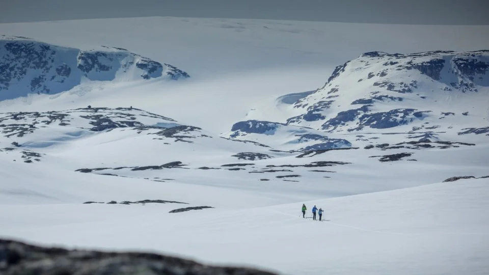 Fjellskibilde.003.jpeg