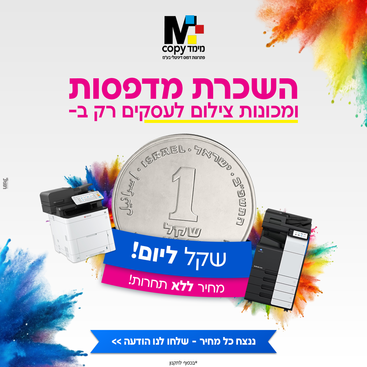 מימד קופי.png