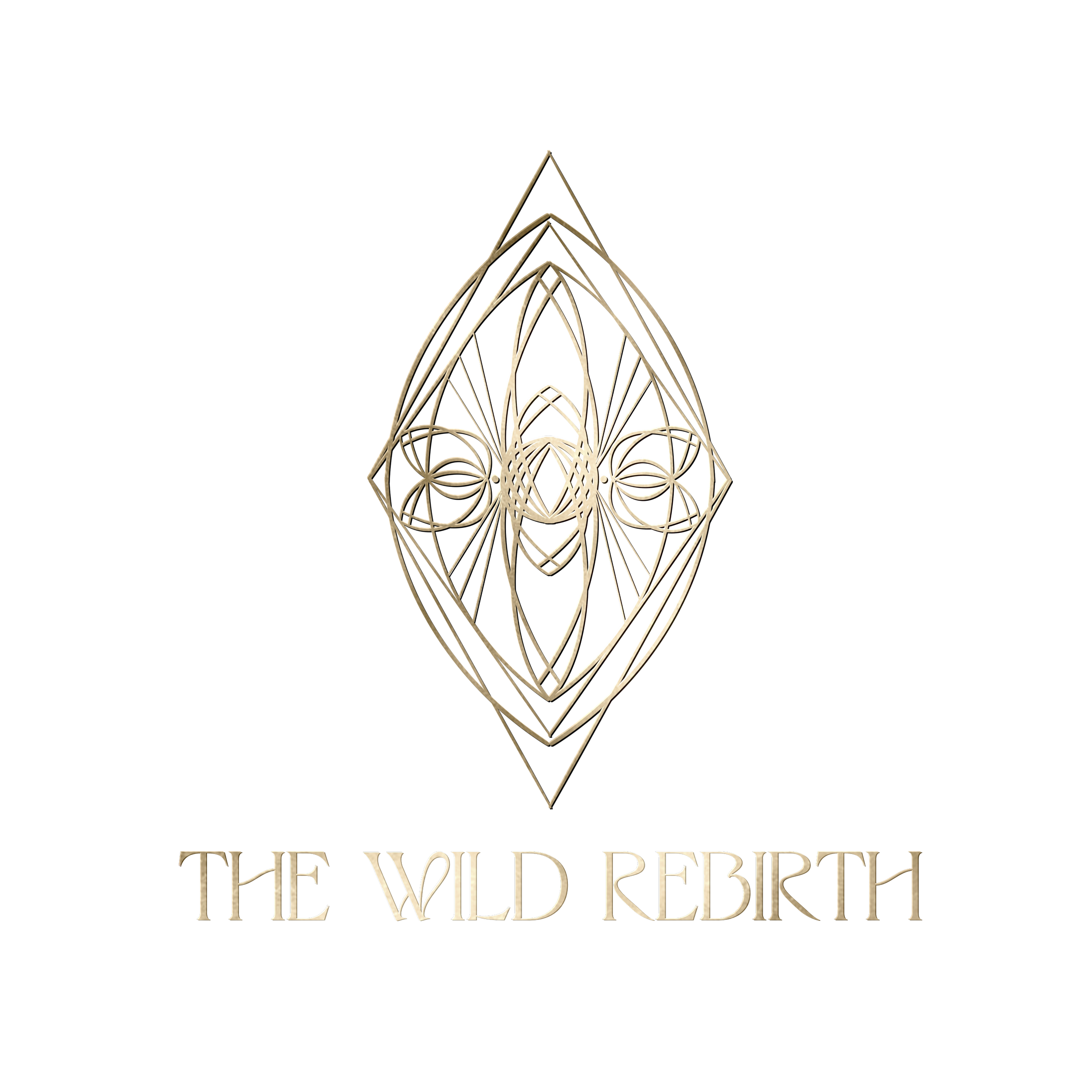 An abstract geometric design with a symmetrical, intricate pattern in beige lines on a black background, accompanied by the text 'The Wild Rebirth' in stylized font.