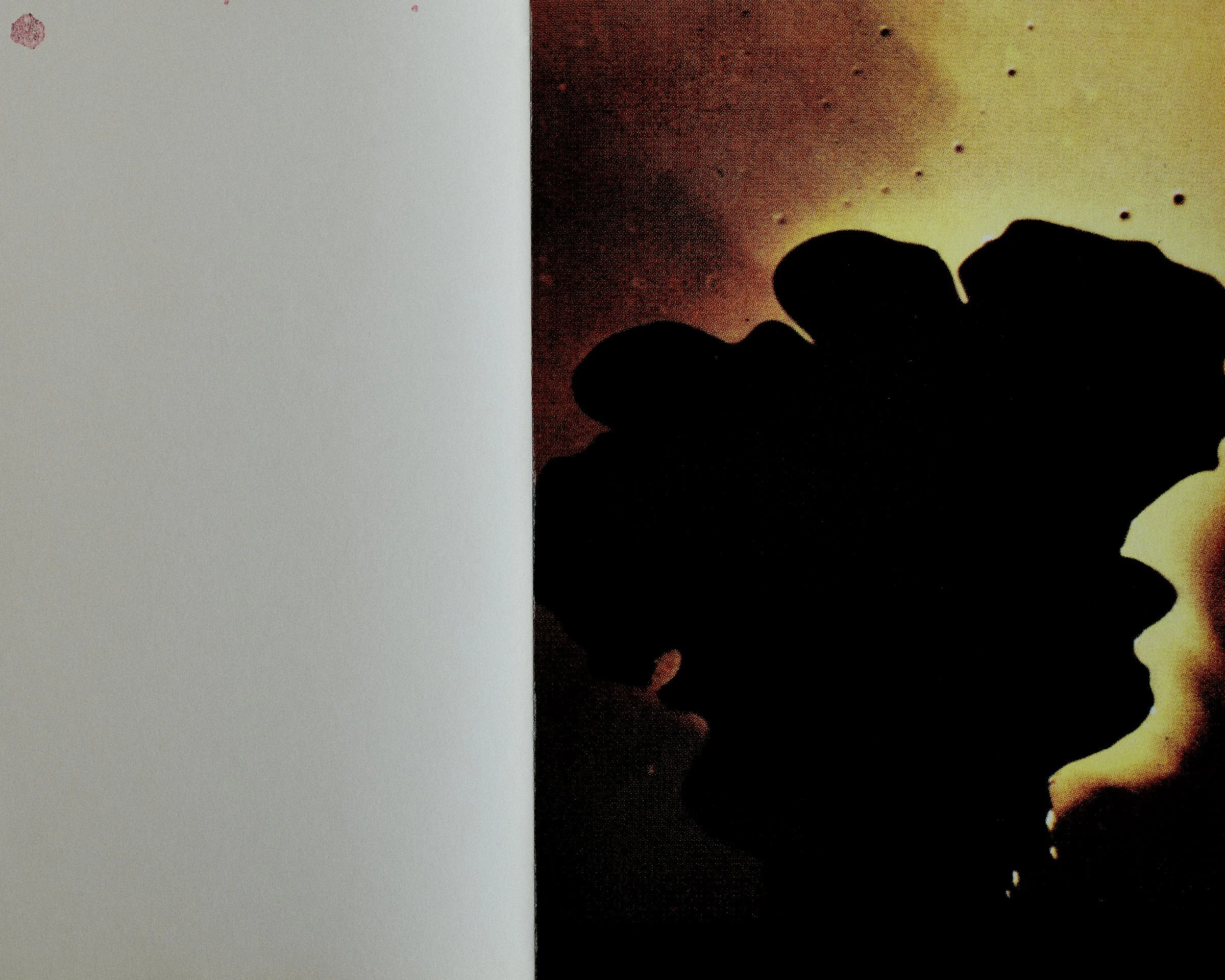 mani_book_lucio_fontana_0015_77800_04 1.jpg