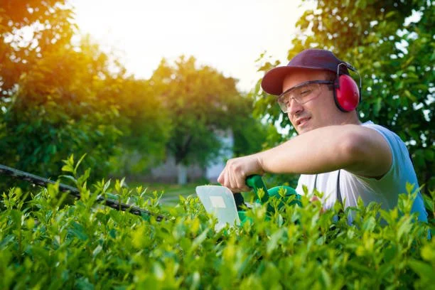 Man gardening with a GPS device, wearing a baseball cap and ear protection, surrounded by green bushes and trees on a sunny day.