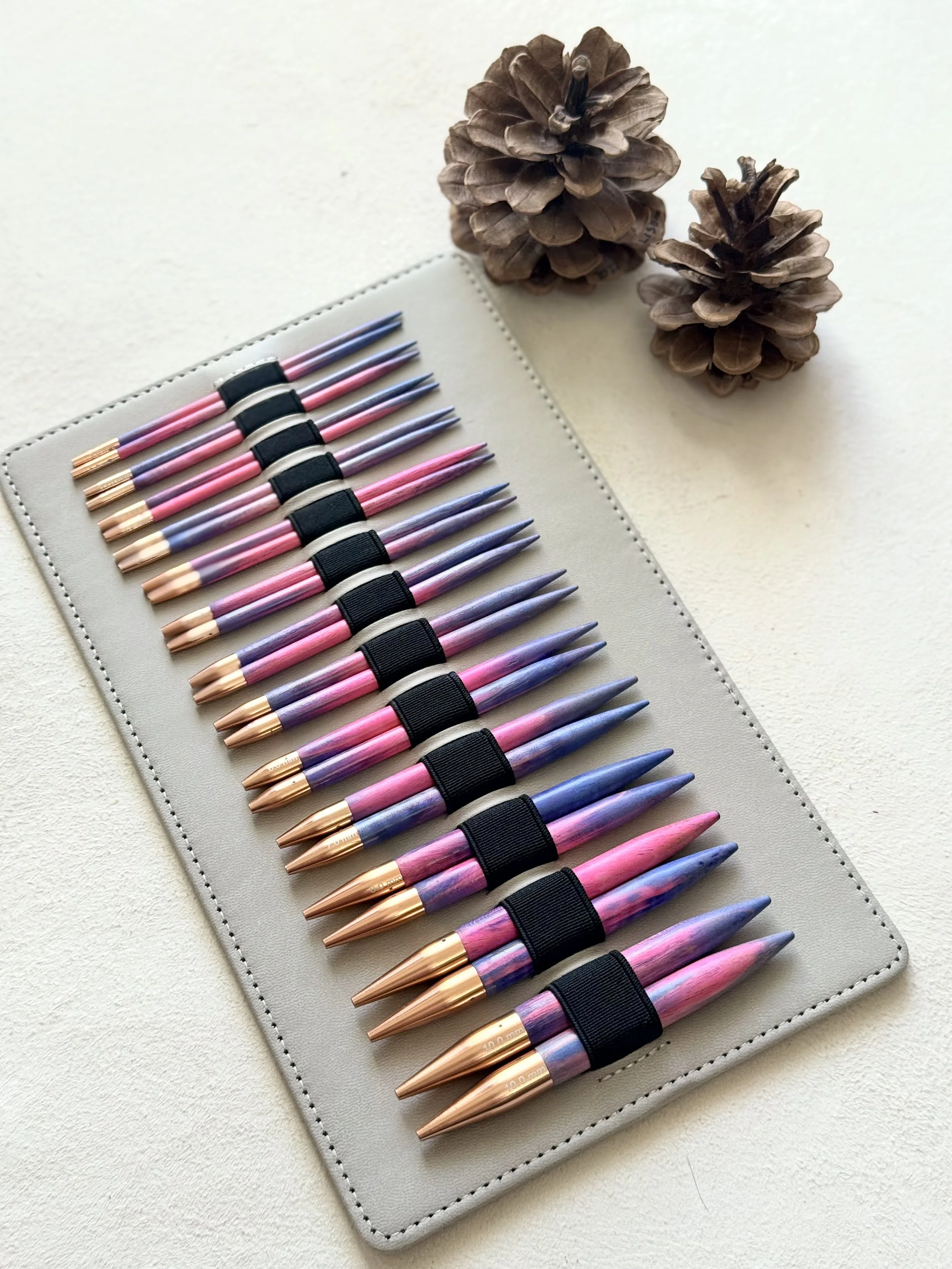 Deluxe Rainbow Interchangeable Needle Set