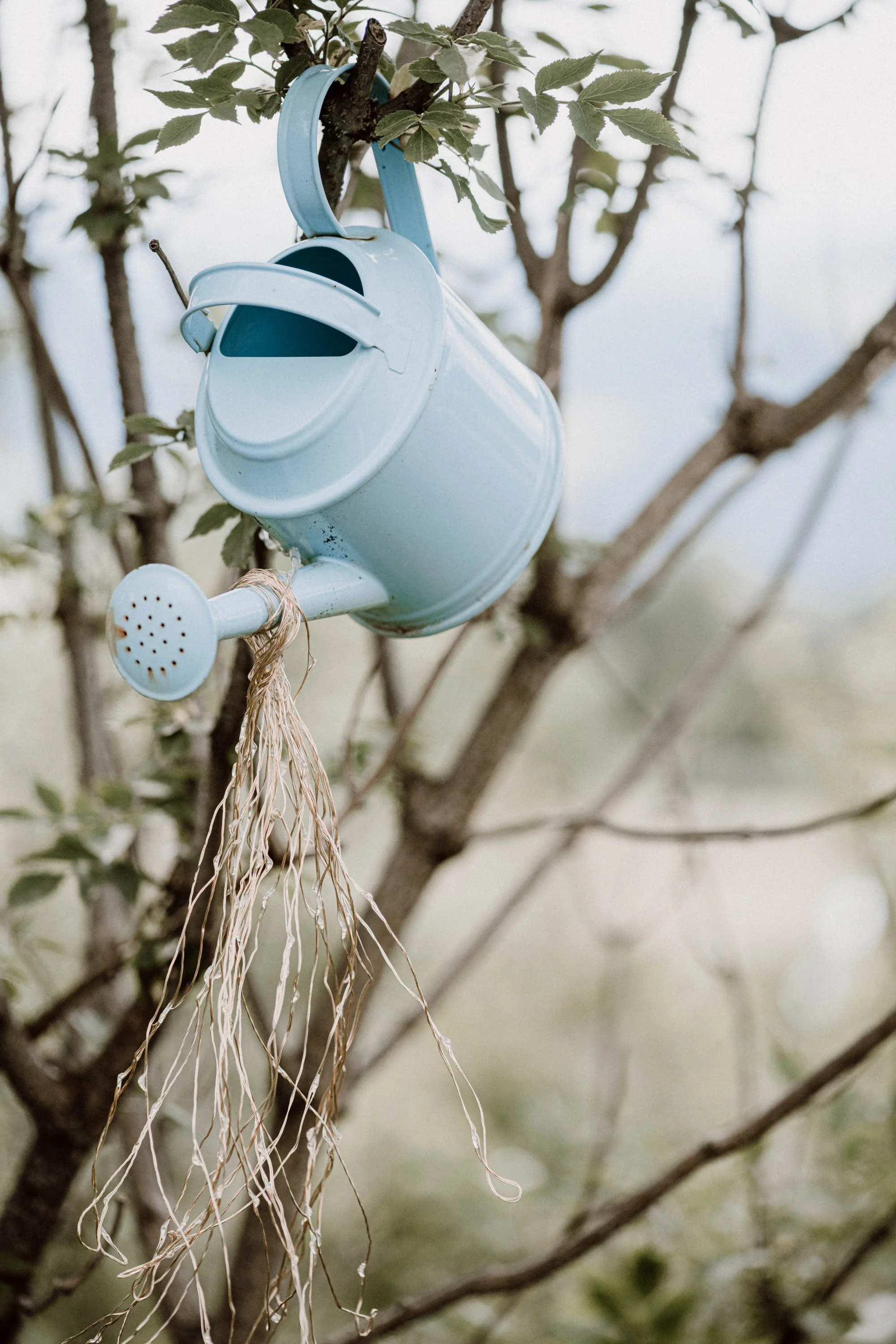 Ein blauer Wasserkanister hängt an einem Baum.