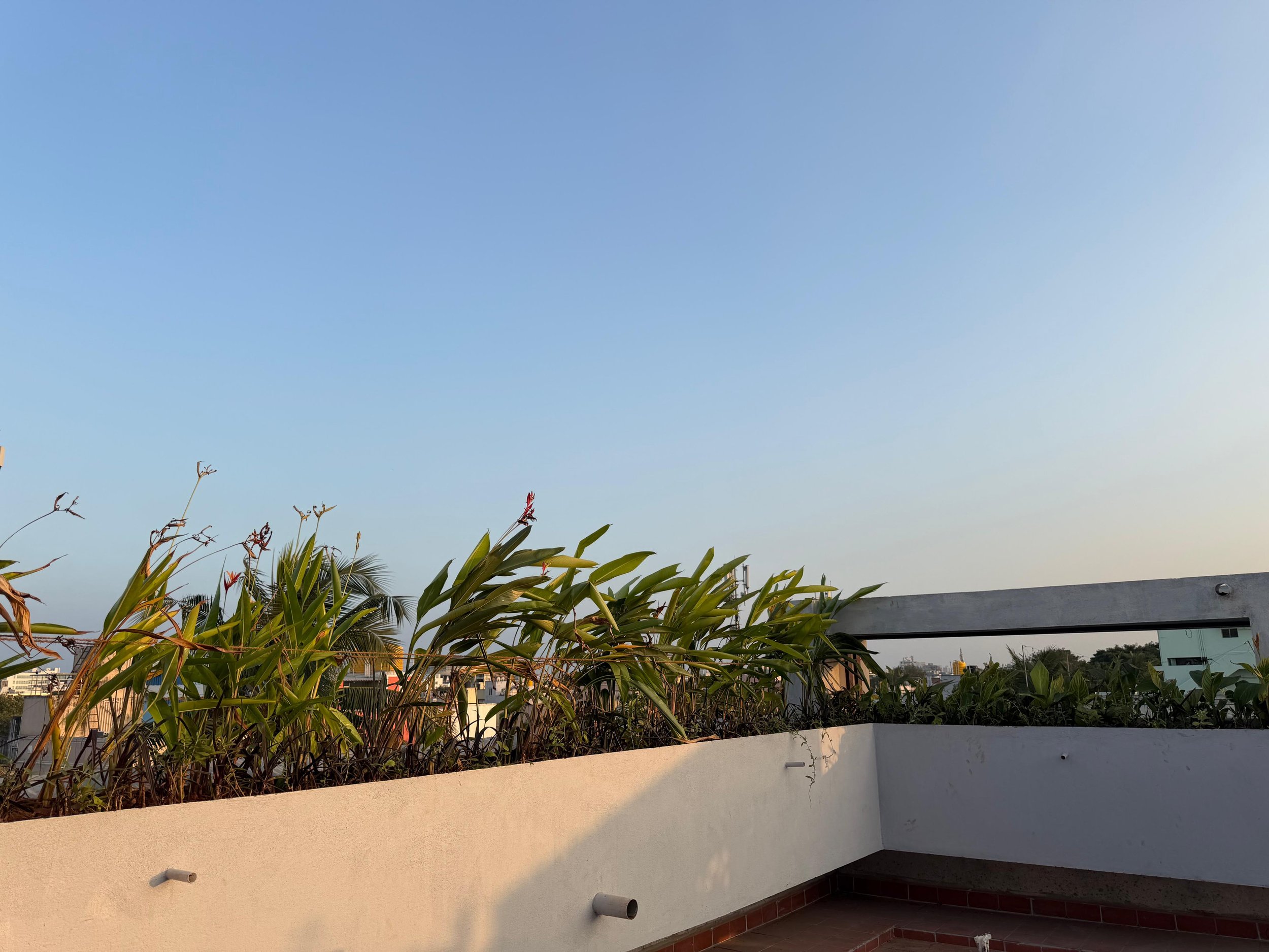 WhatsApp Image 2026-02-05 at 15.30.22.jpeg