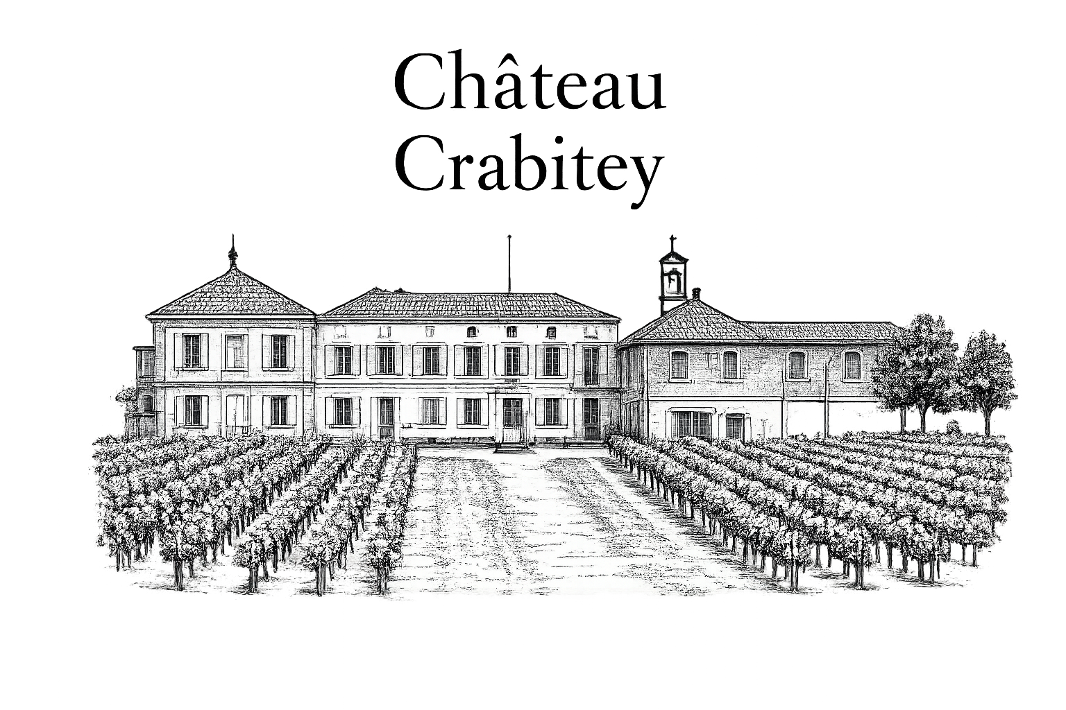 Vue d'un vieux manoir avec vignoble en premier plan, arbres et ciel noir en arrière-plan.