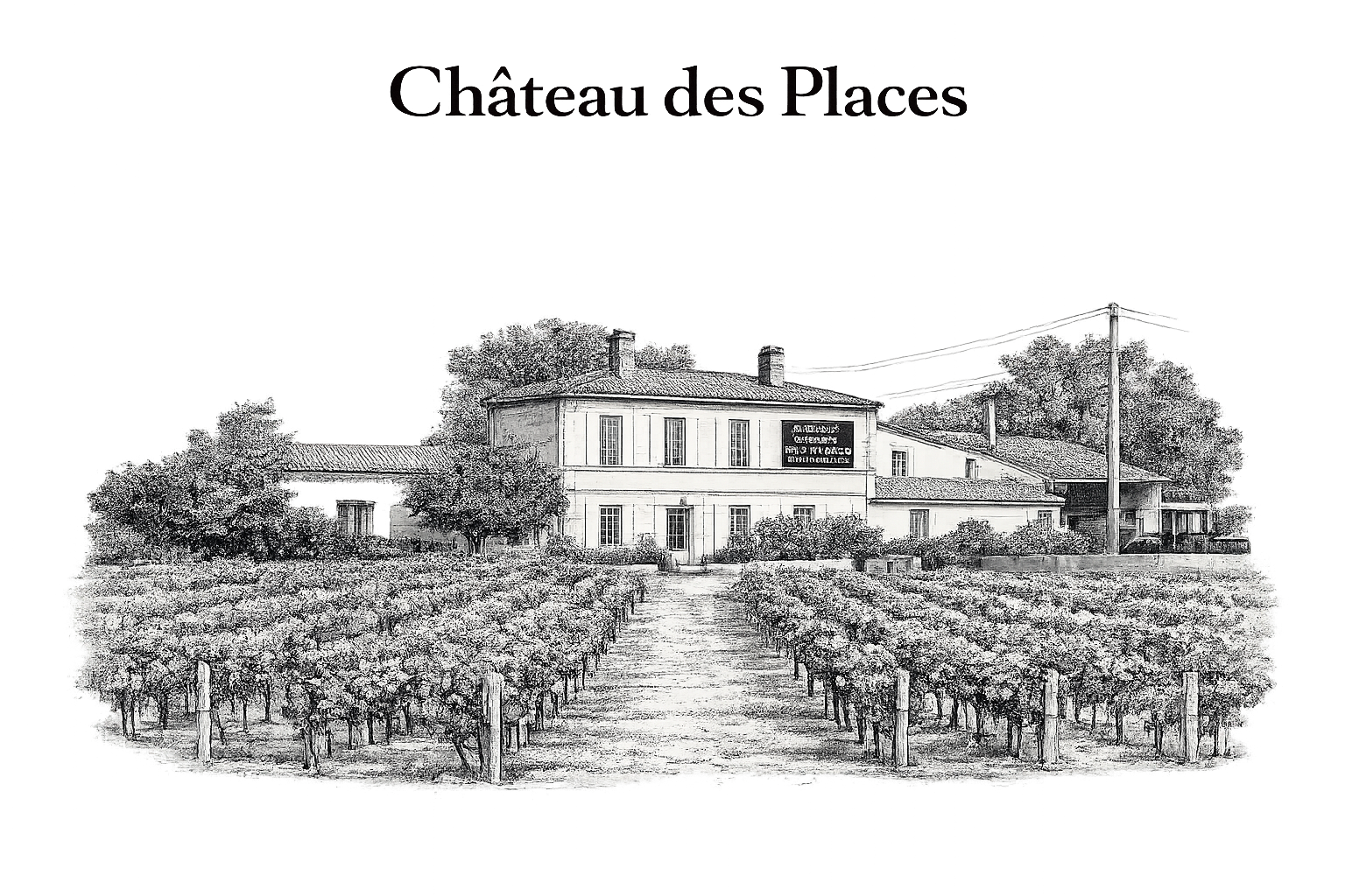 Photo en noir et blanc d'un vignoble menant à une maison située dans un paysage rural, avec des arbres et des collines en arrière-plan.