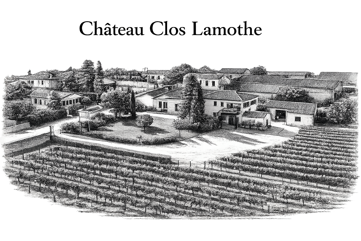 Vignoble avec rangées de vignes en premier plan et maison villageoise avec bâtiments aux toits en tuiles en arrière-plan, sous un ciel sombre.