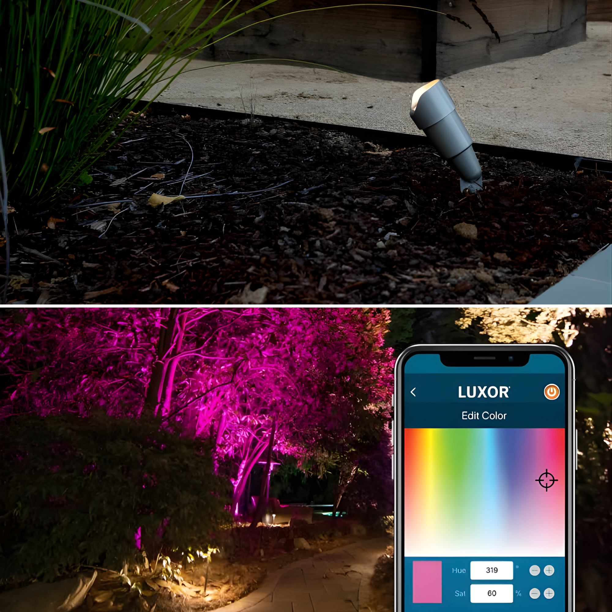 Untitled design (5).png