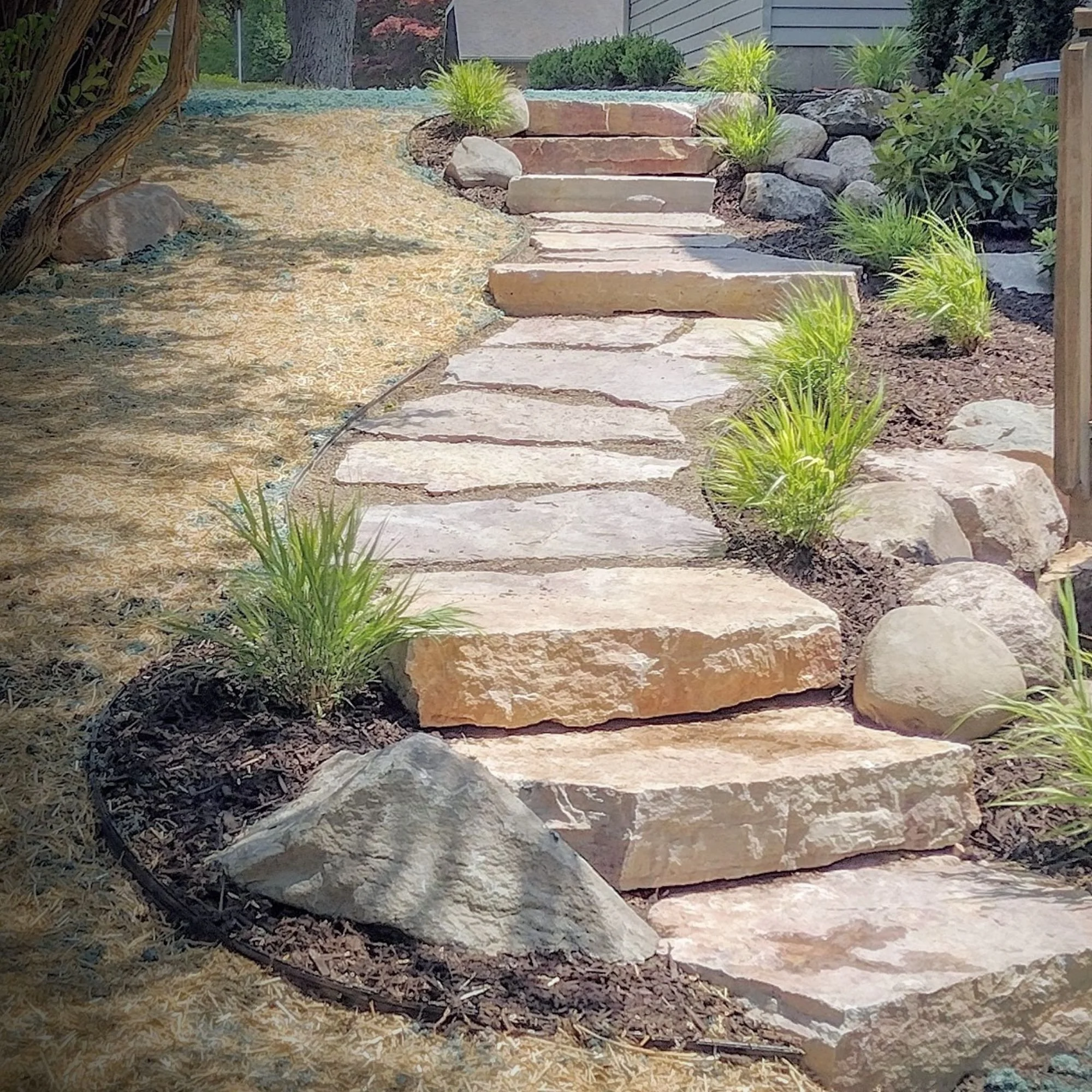A stone pathway with irregular-shaped steps leading up a small garden slope, bordered by small green plants and rocks.