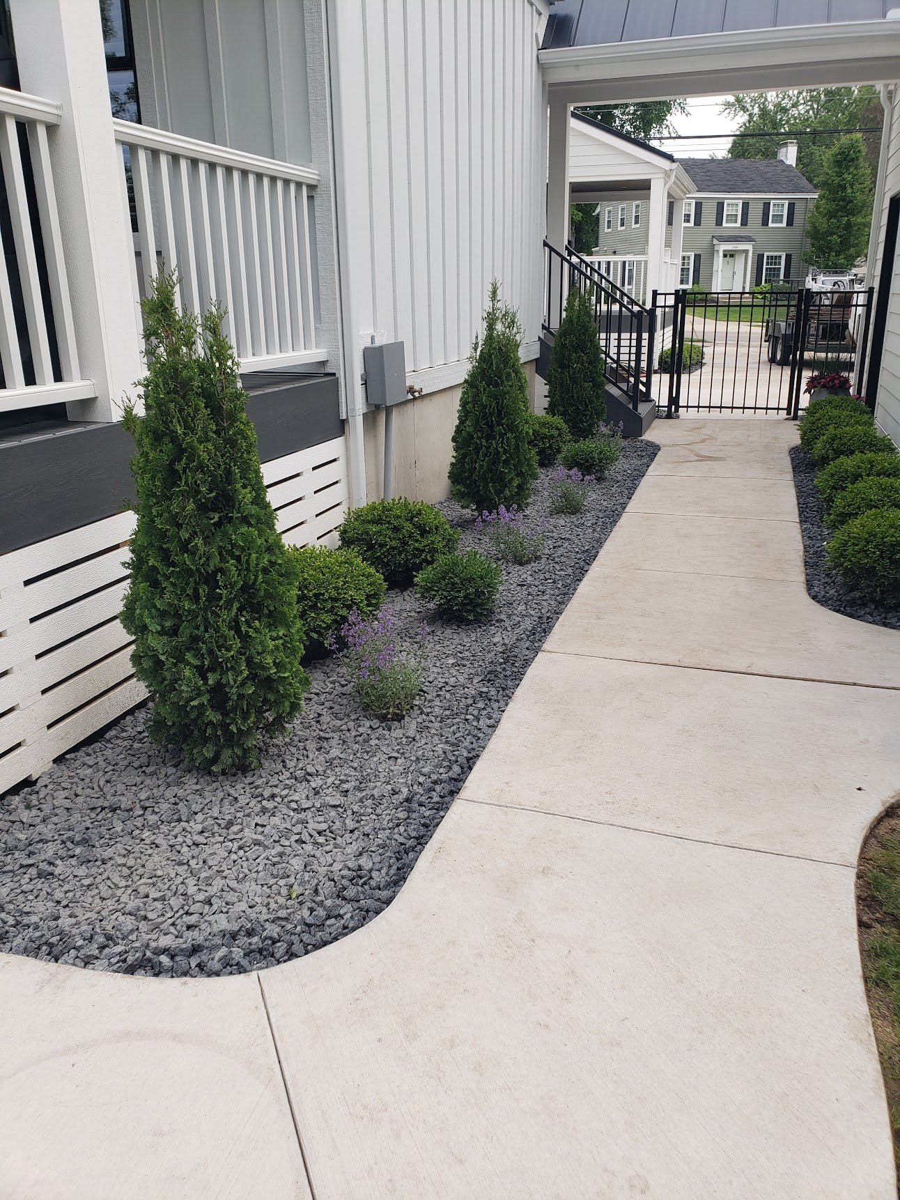 A concrete walkway bordered by landscaped garden beds with small green shrubs, trees, and purple flowers, leading to a black metal gate in a residential neighborhood.