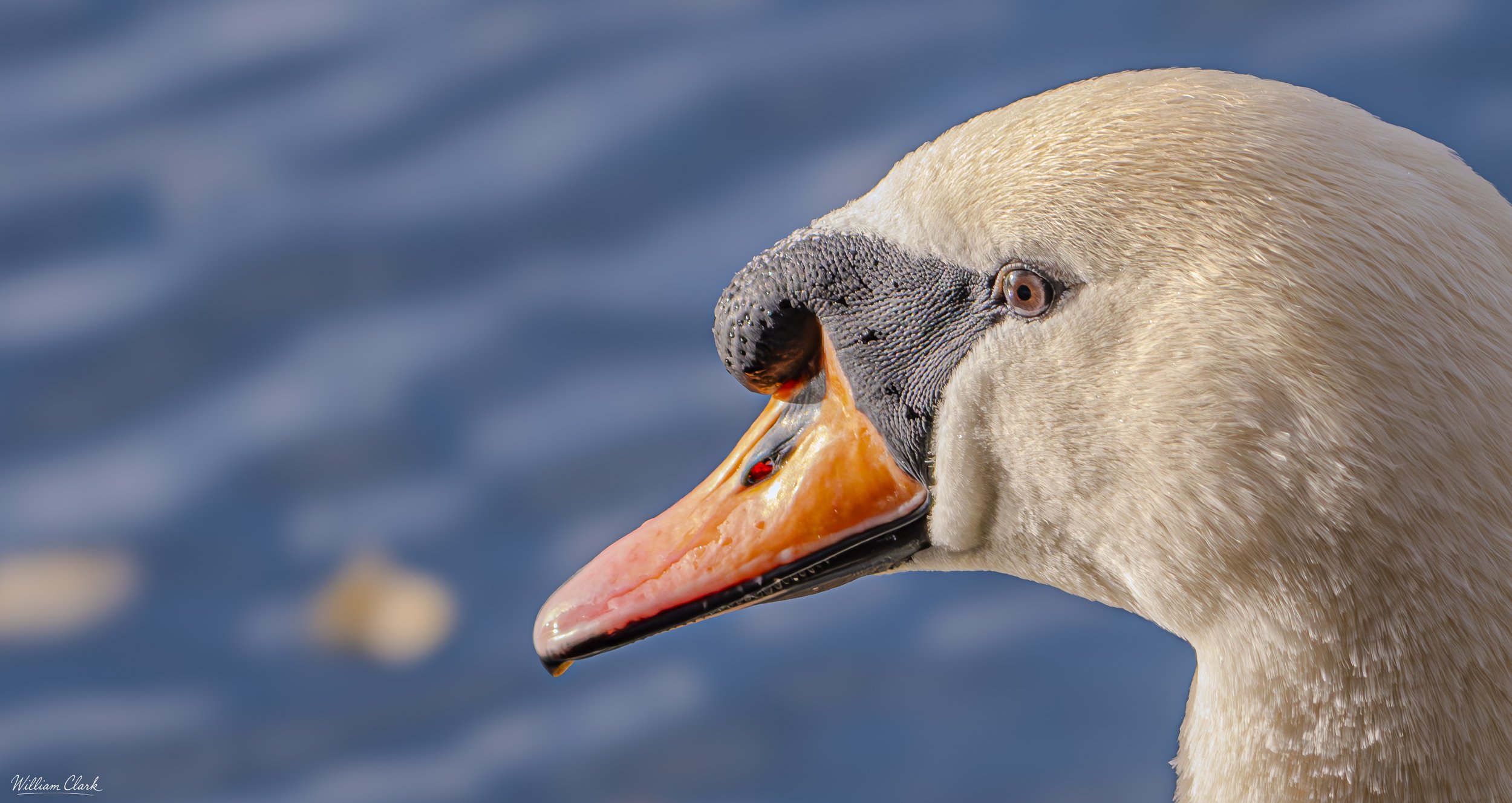 DSC_2820.jpg