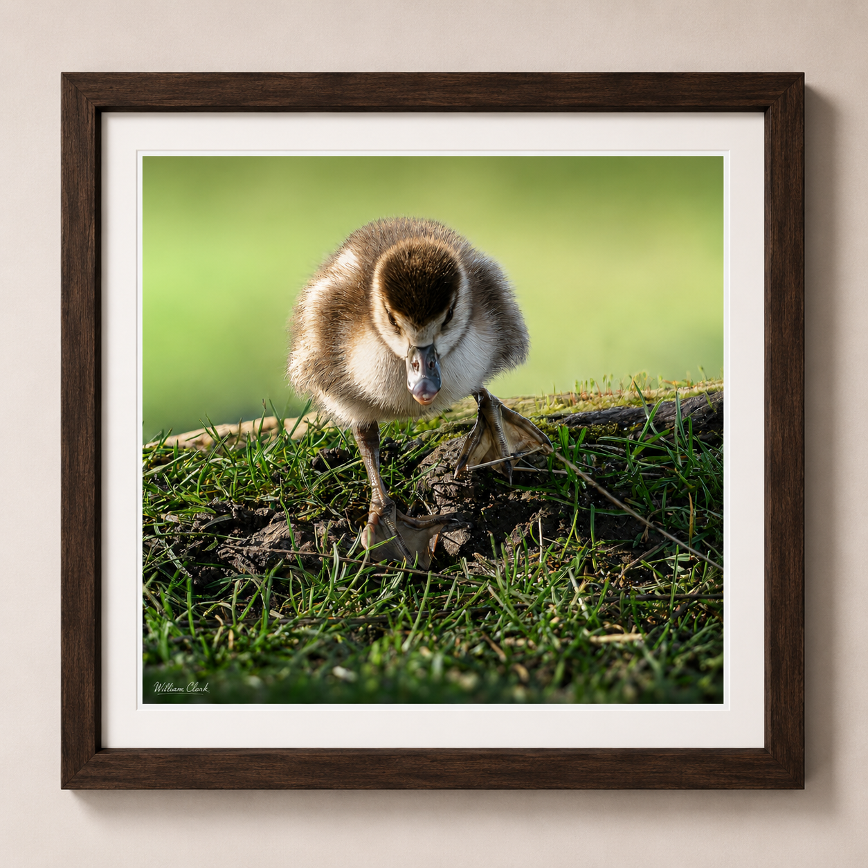 Wait For Me (Framed).png