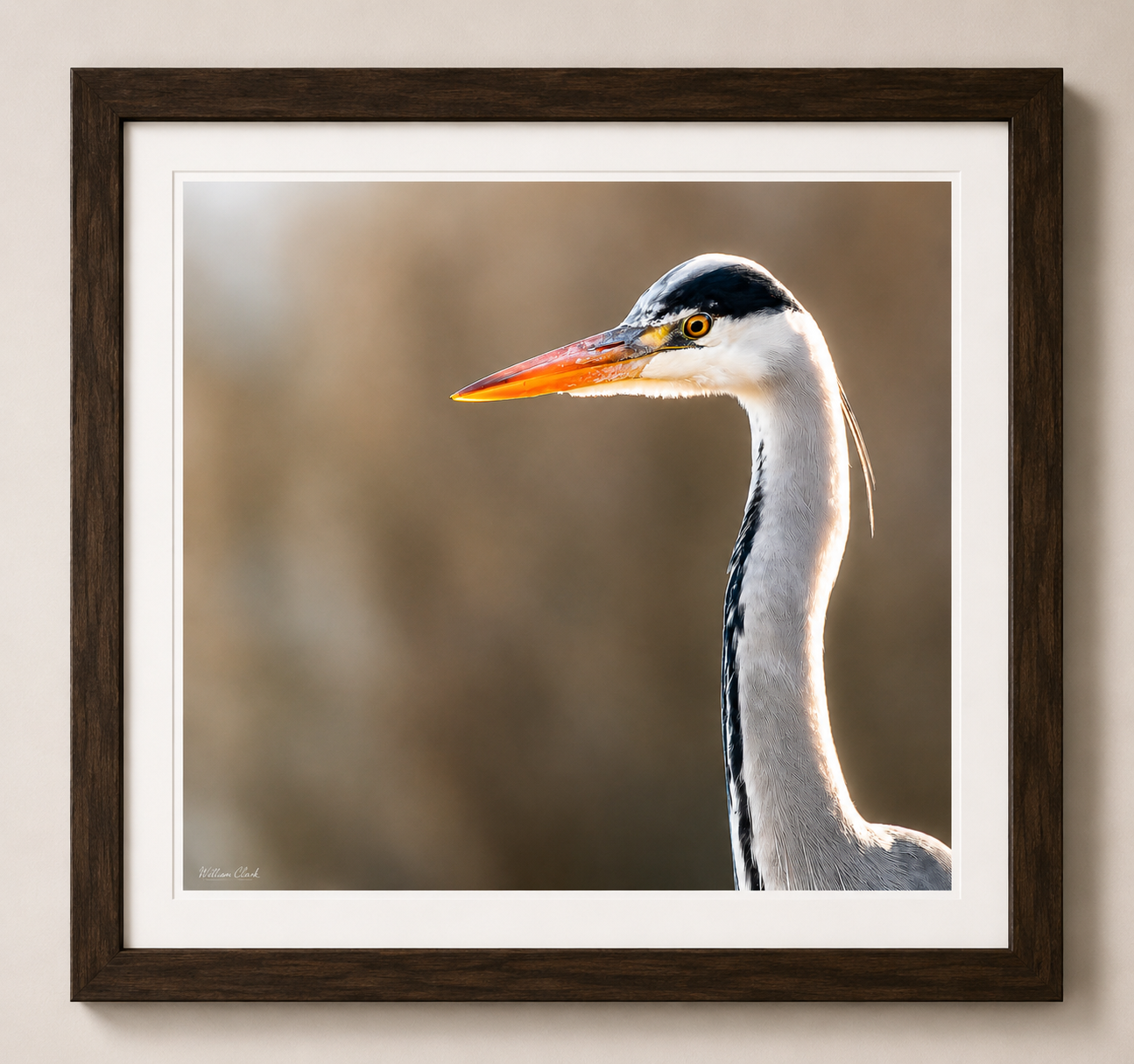 Long And Elegant (Framed).png