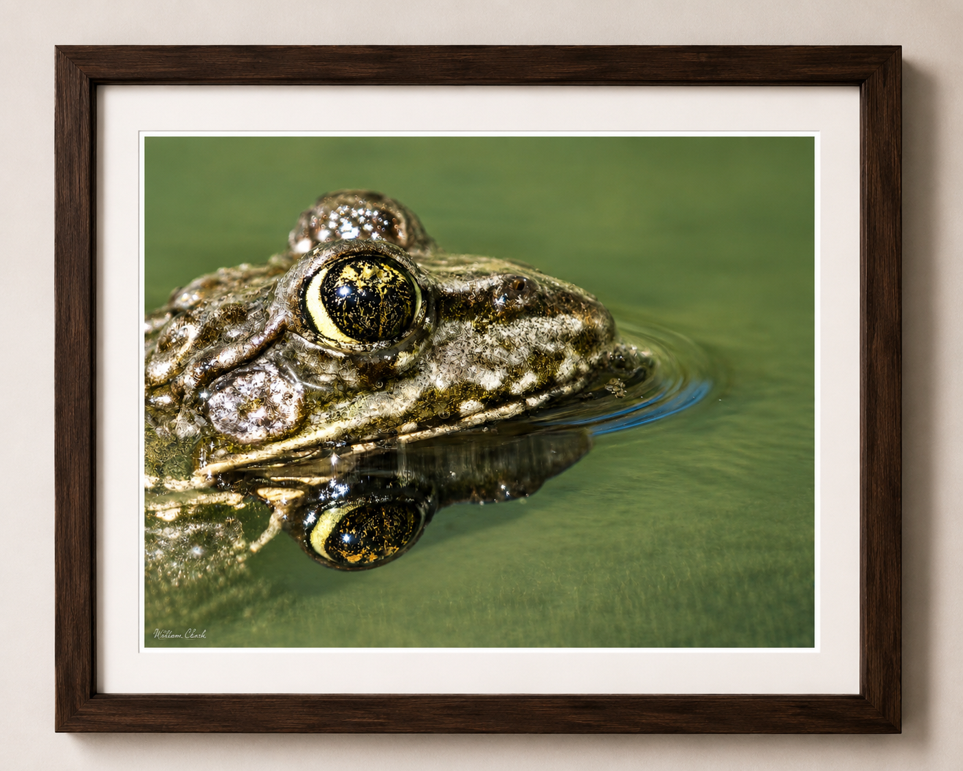 Eyeballing (Frame).png