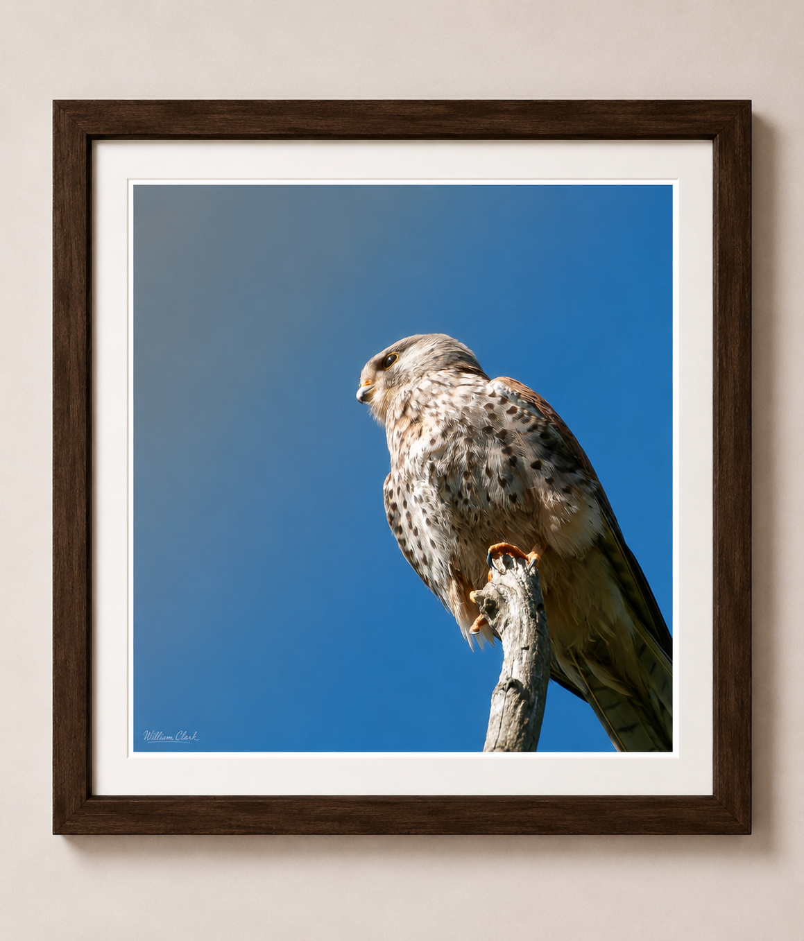 Lookig Out (Framed).png