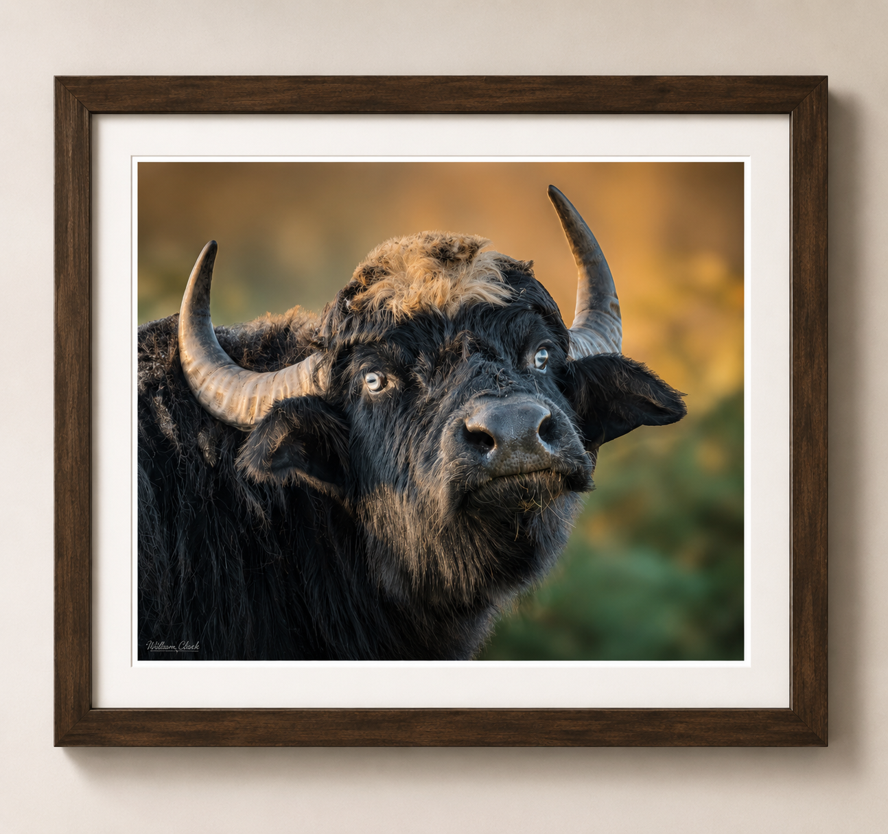 Power (Framed).png
