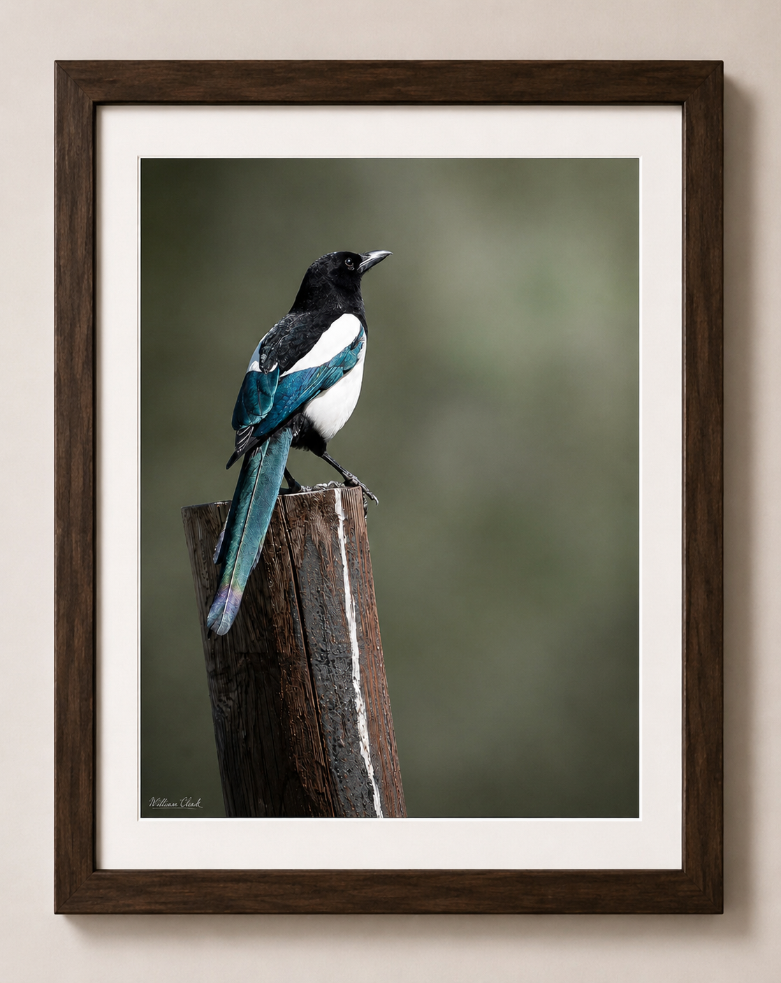 Black:White (Framed).png