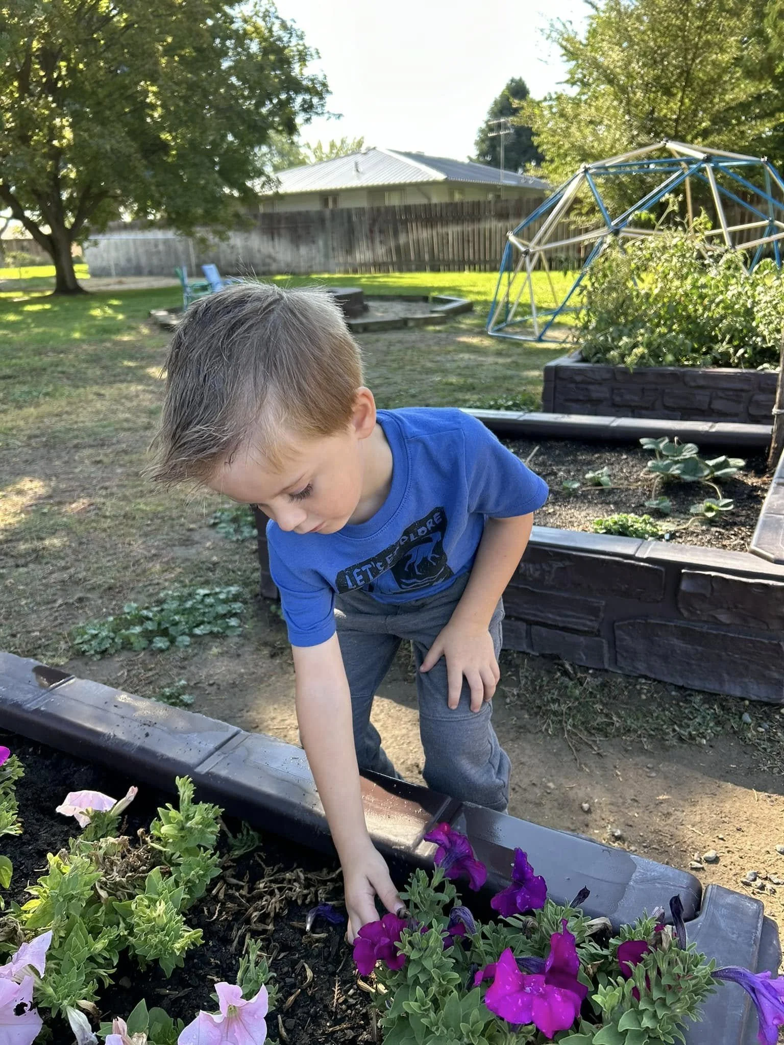 A young boy gardening in a raised flower planter at a preschool playground