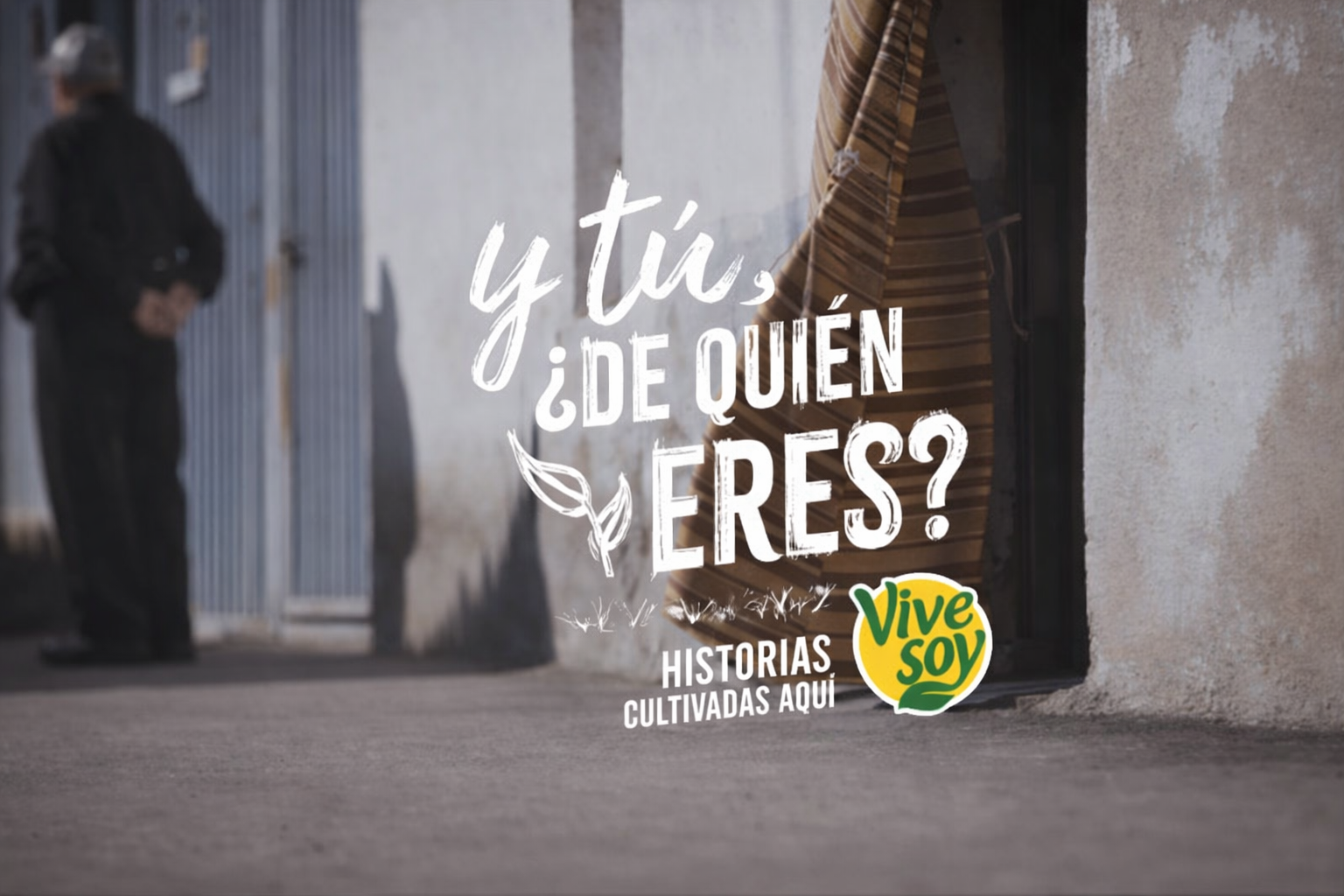 VIVESOY - BRANDED CONTENT