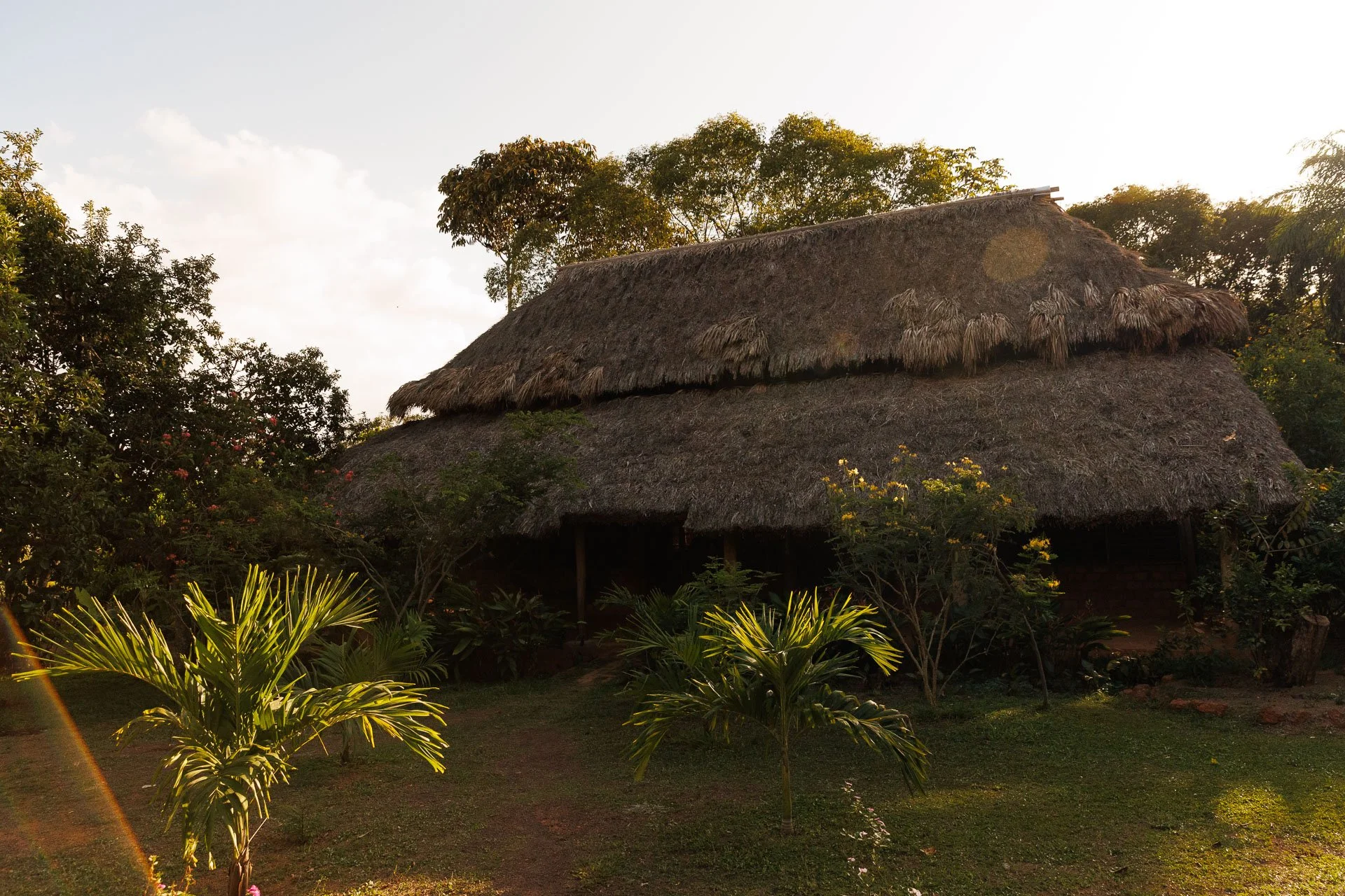 Wildlife tracking holiday in Guyana