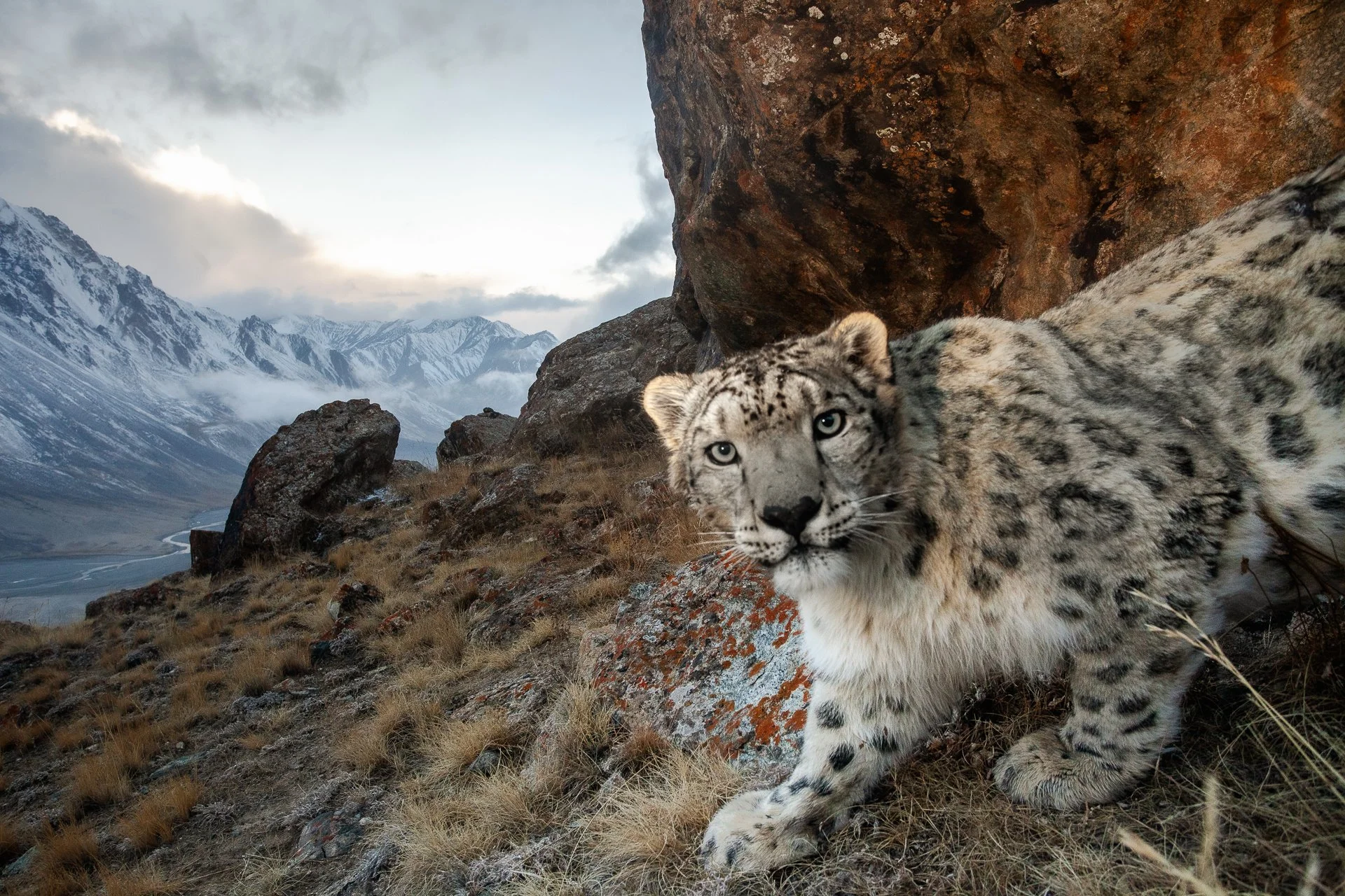 The Ghost of the Tian Shan: A Winter Diary from Kyrgyzstan’s High Altitudes