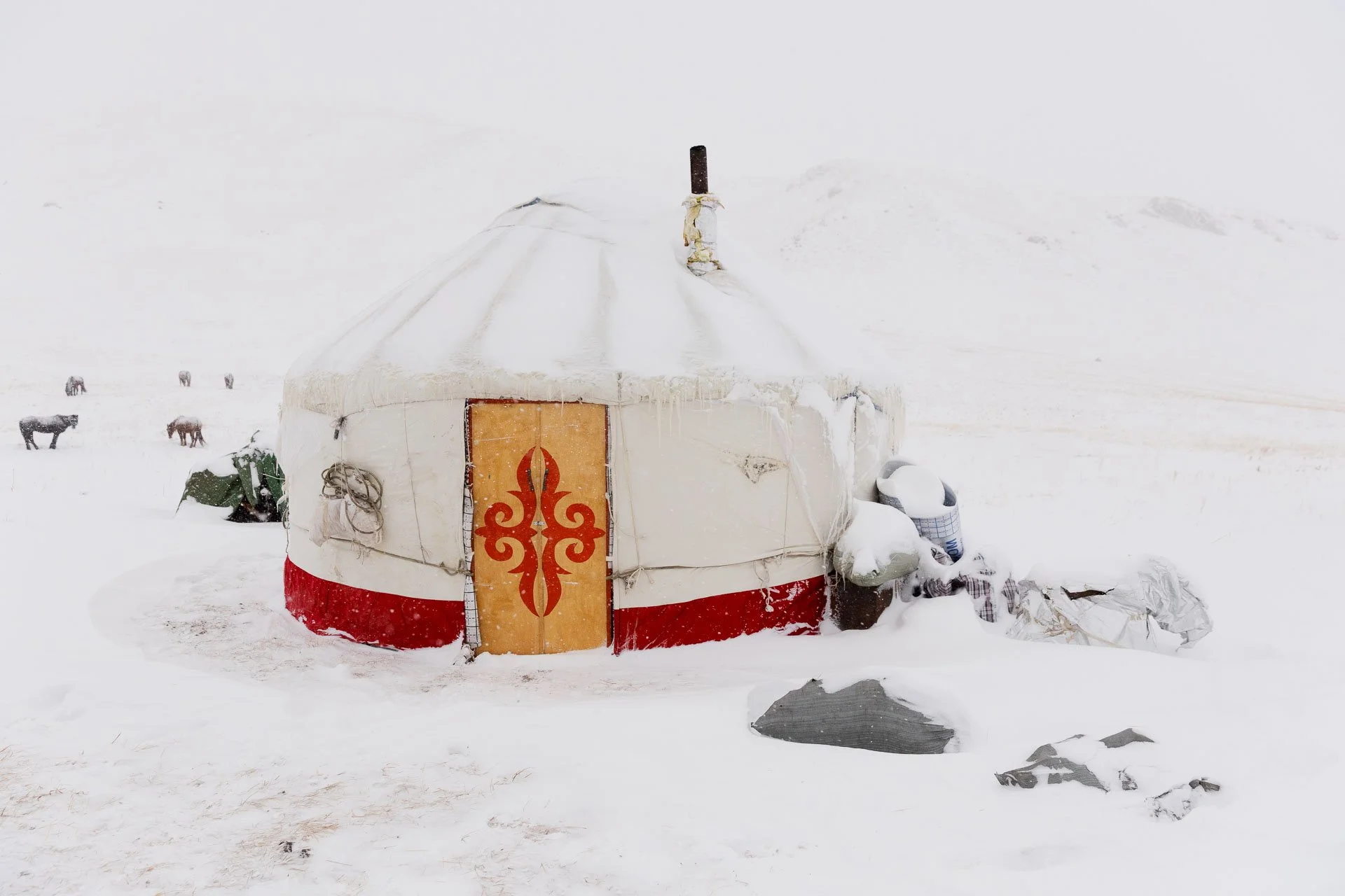 Yurt in the snowy mountains a snow leopard tracking holiday