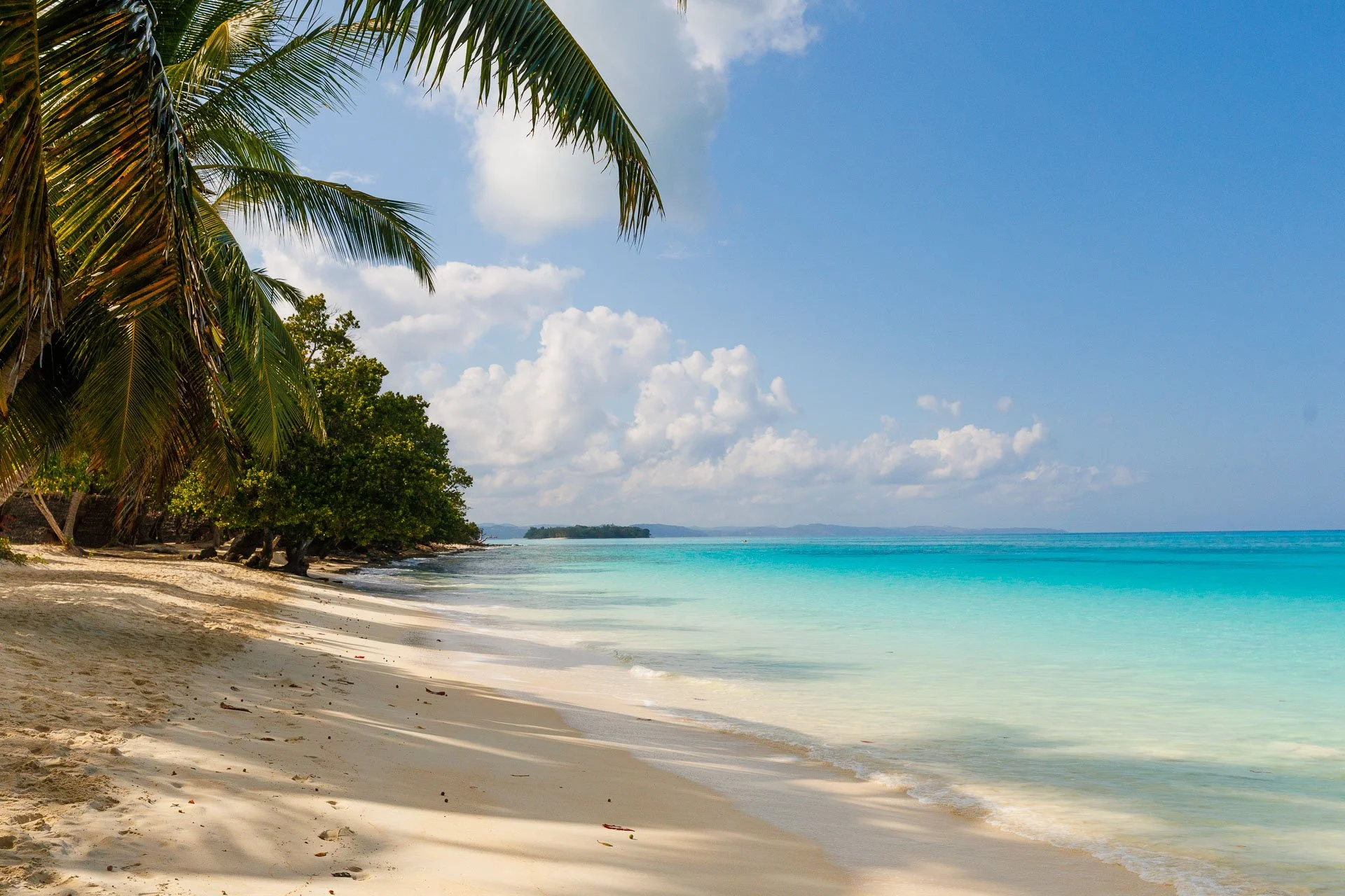 A golden beach with palms overhanging and turquoise waters in this marine paradise Madagascar