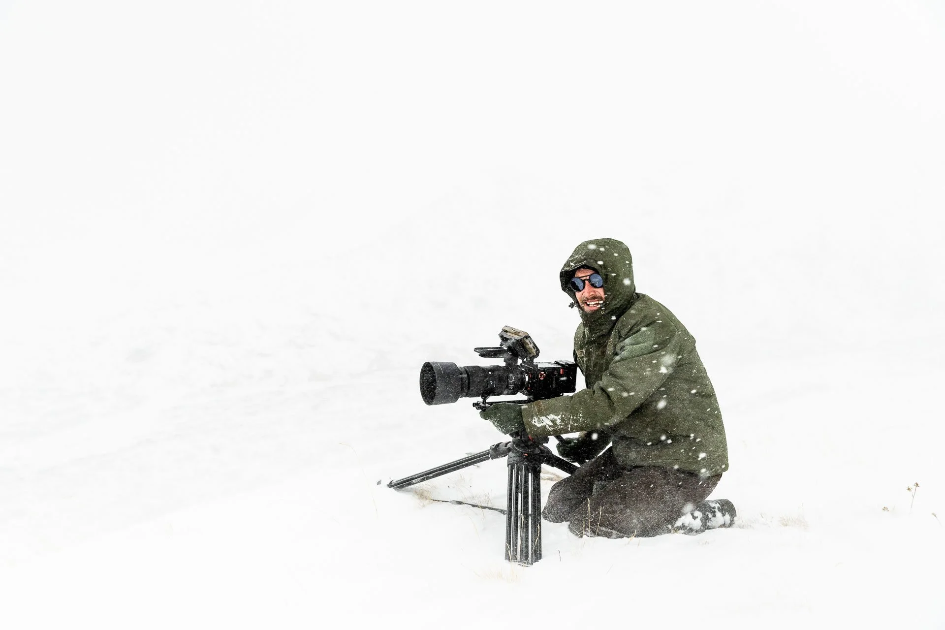 A man films snow leopards during a wildlife tracking tour