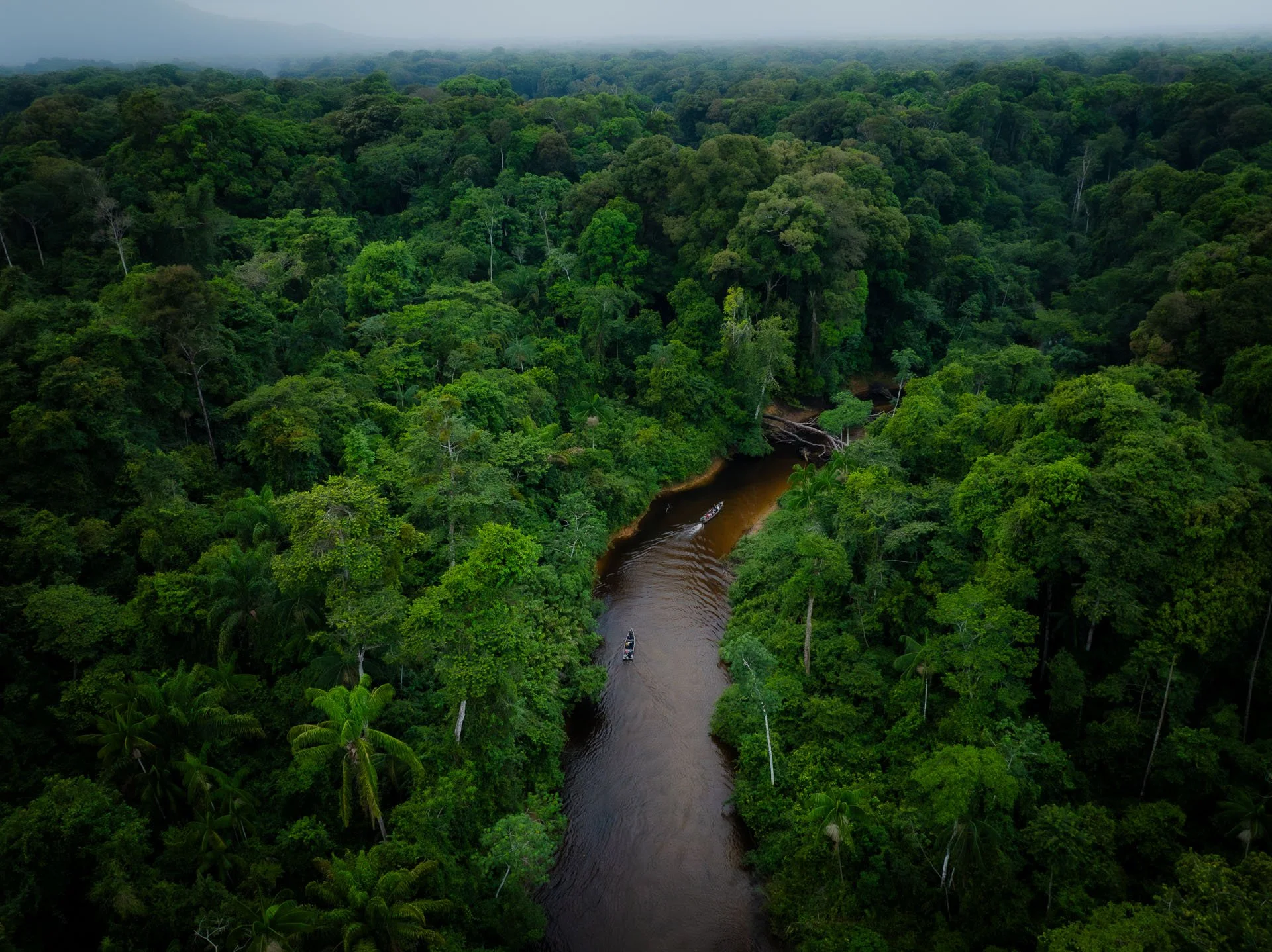 Aerial view of the jungle of Guyana - small group tour
