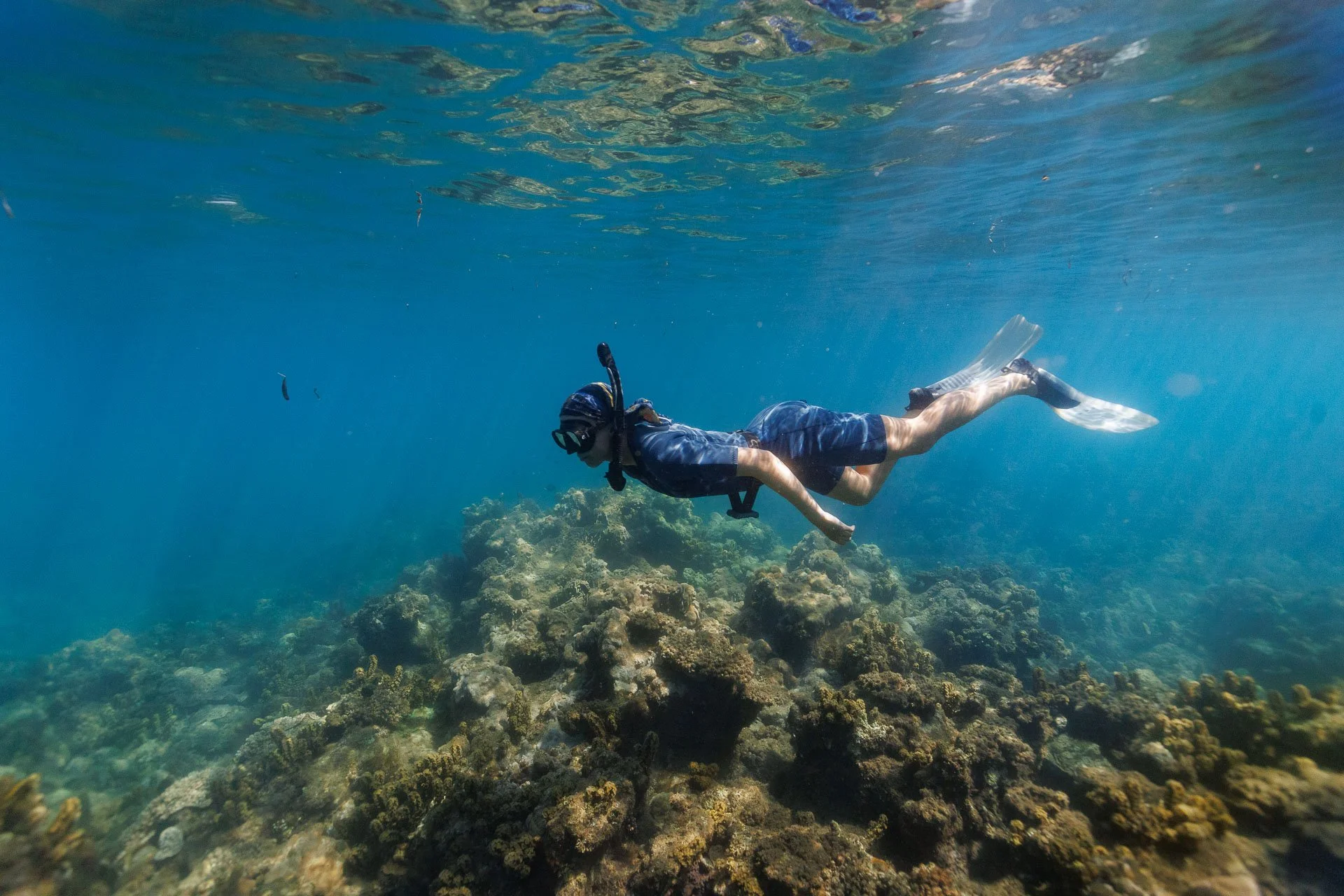 A woman snorkelling next to a coral reef on a small group citizen science tour in Madagascar