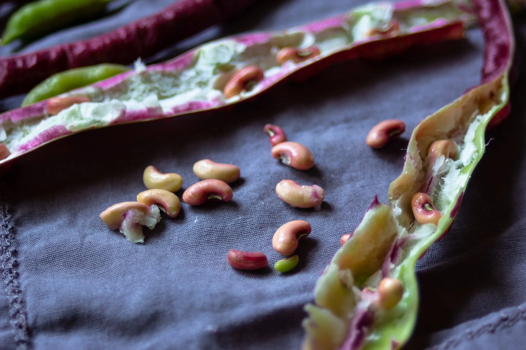 food-photography-scotney-blackburn-_039.jpg