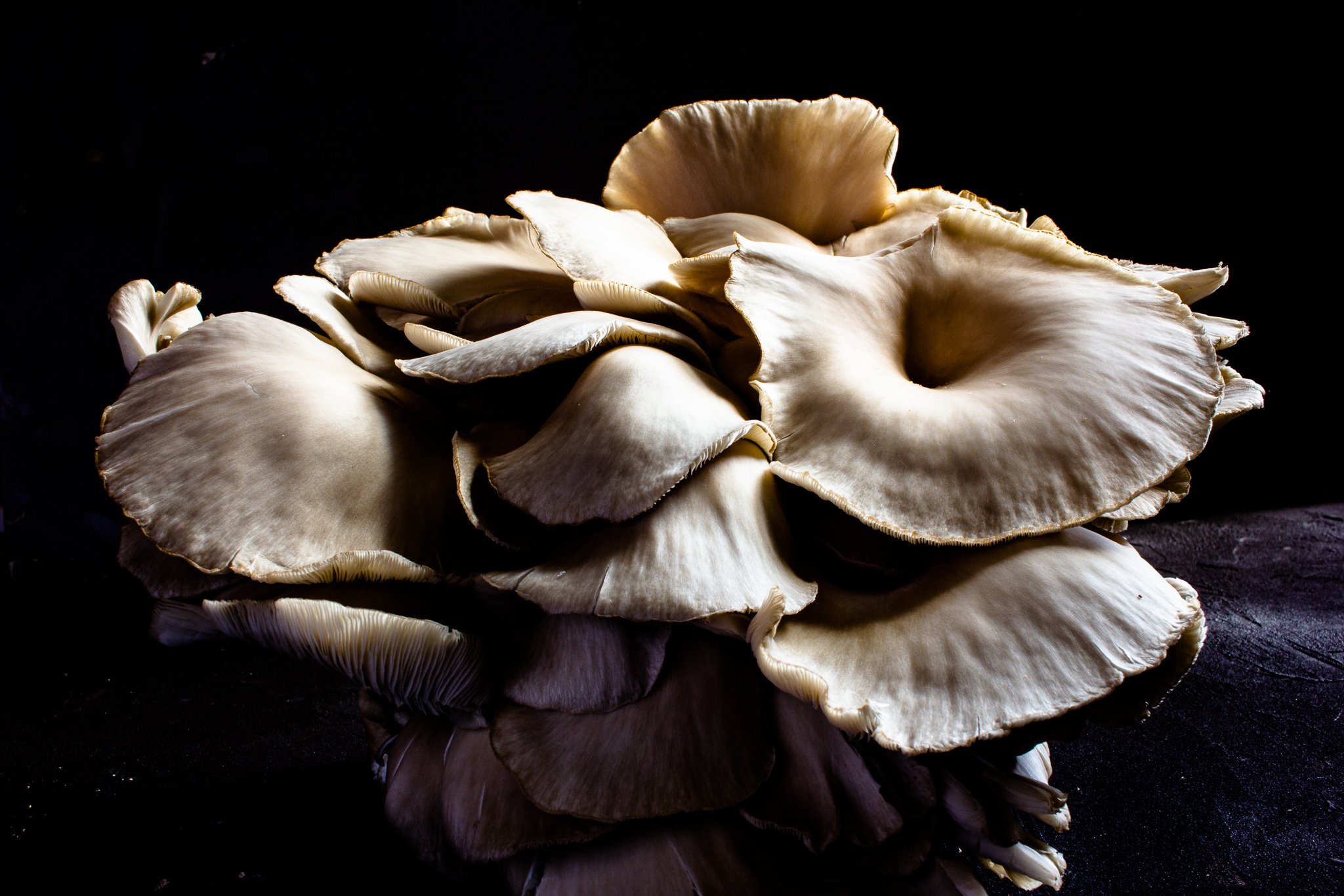 food-photography-scotney-blackburn-_035.jpg