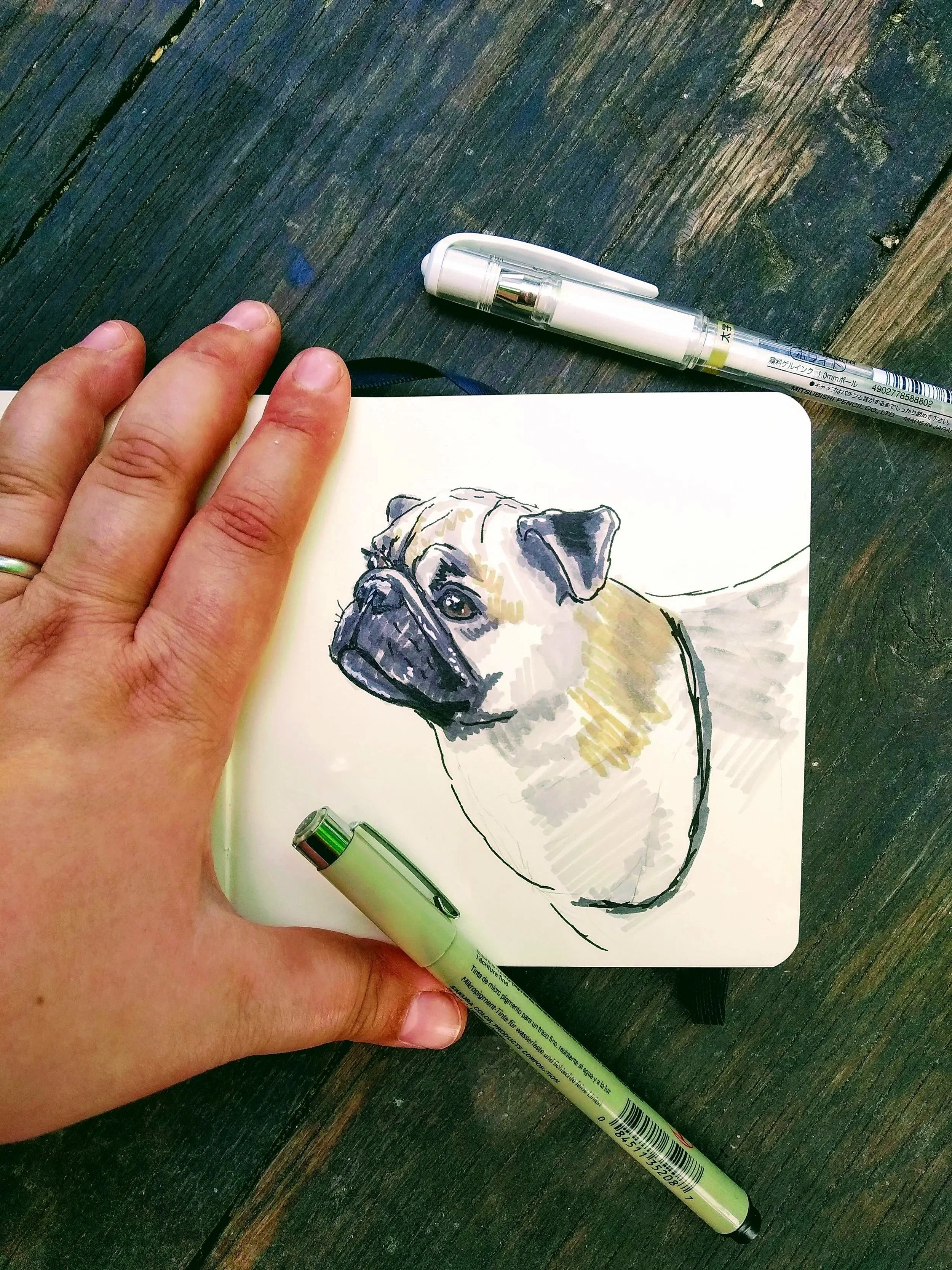 Custom pet portraits