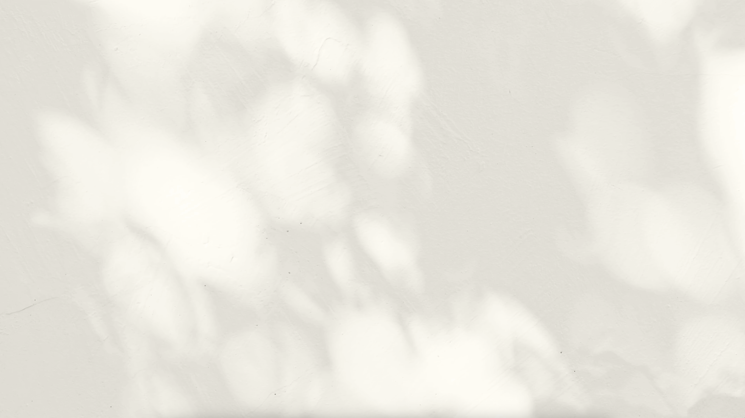 KimberleyGallagher_BannerFootage.png