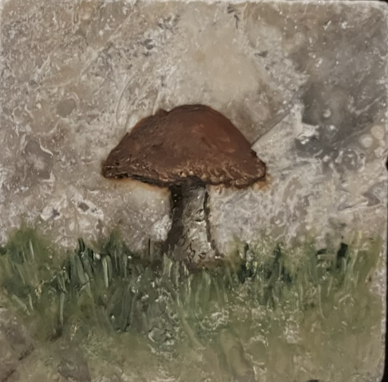 A toadstool mushroom growing out of the ground near grass and dirt.