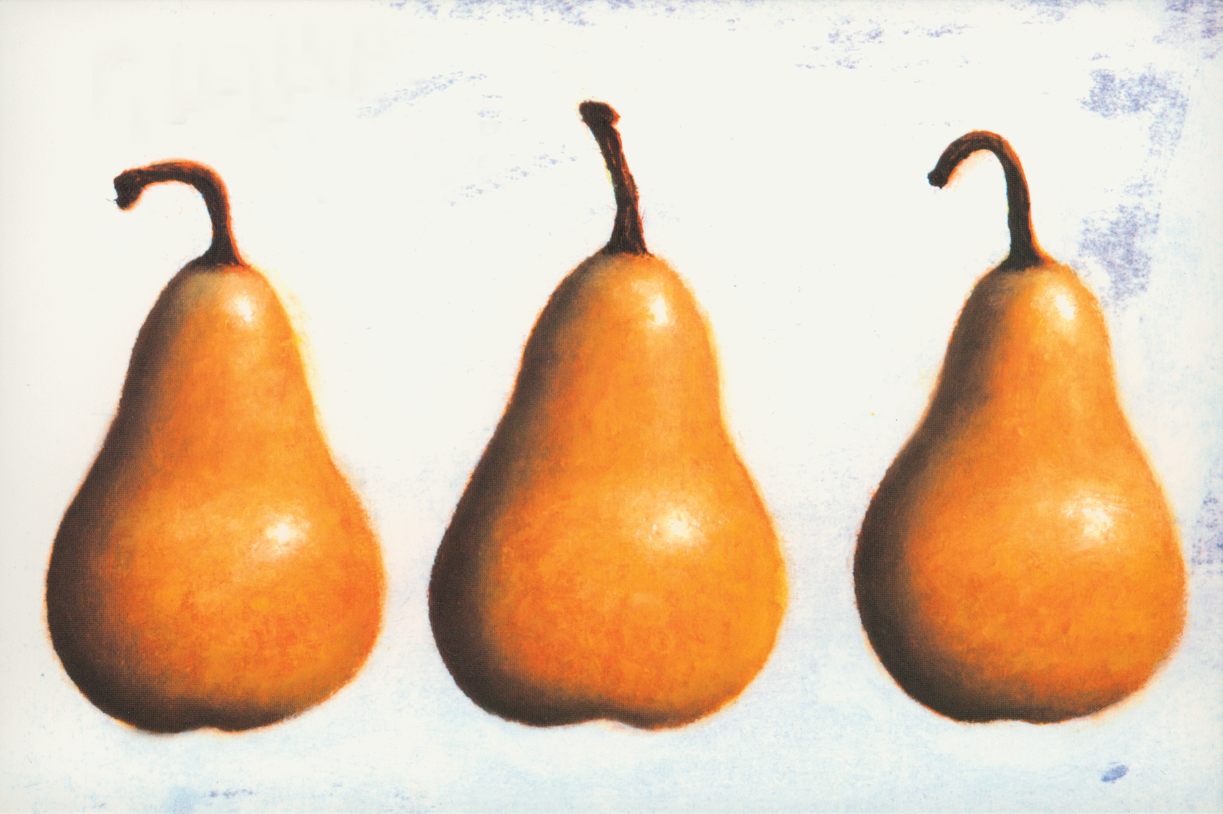 "3 pears" Oil Painting by Isabella Mastroianni