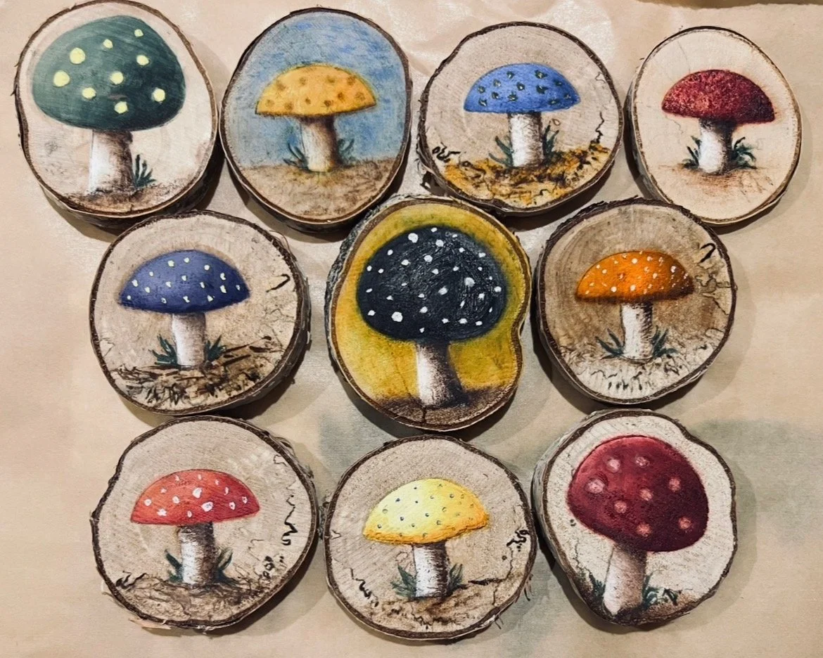 Colorful mushroom illustrations on slices of wood, each with different cap colors: green, yellow, blue, red, orange, and purple.