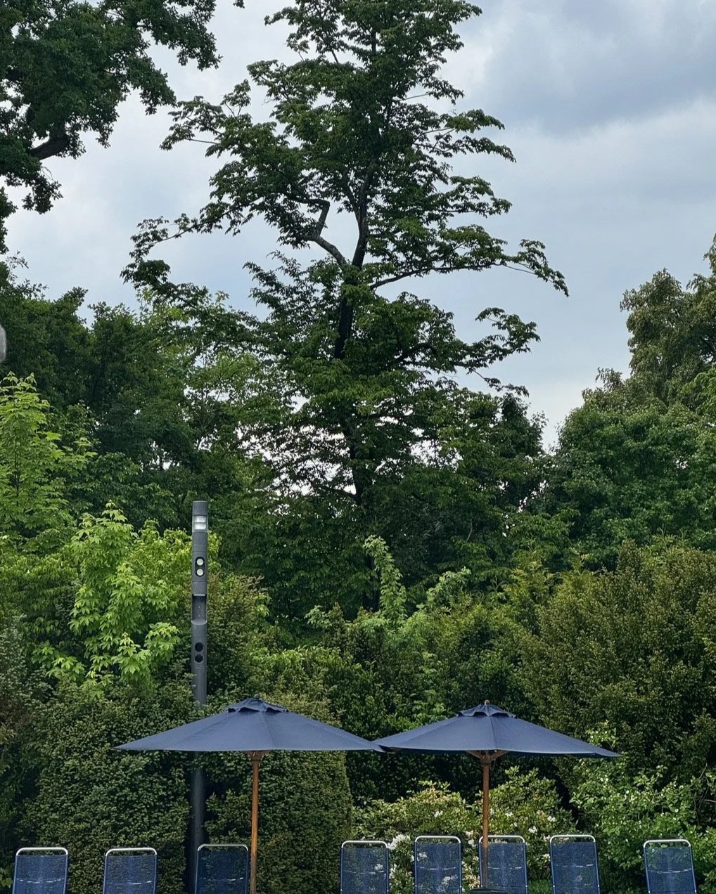 Zwei Sonnenschirme, umgeben von Bänken in einem Garten, mit vielen Bäumen und einem bewölkten Himmel im Hintergrund.
