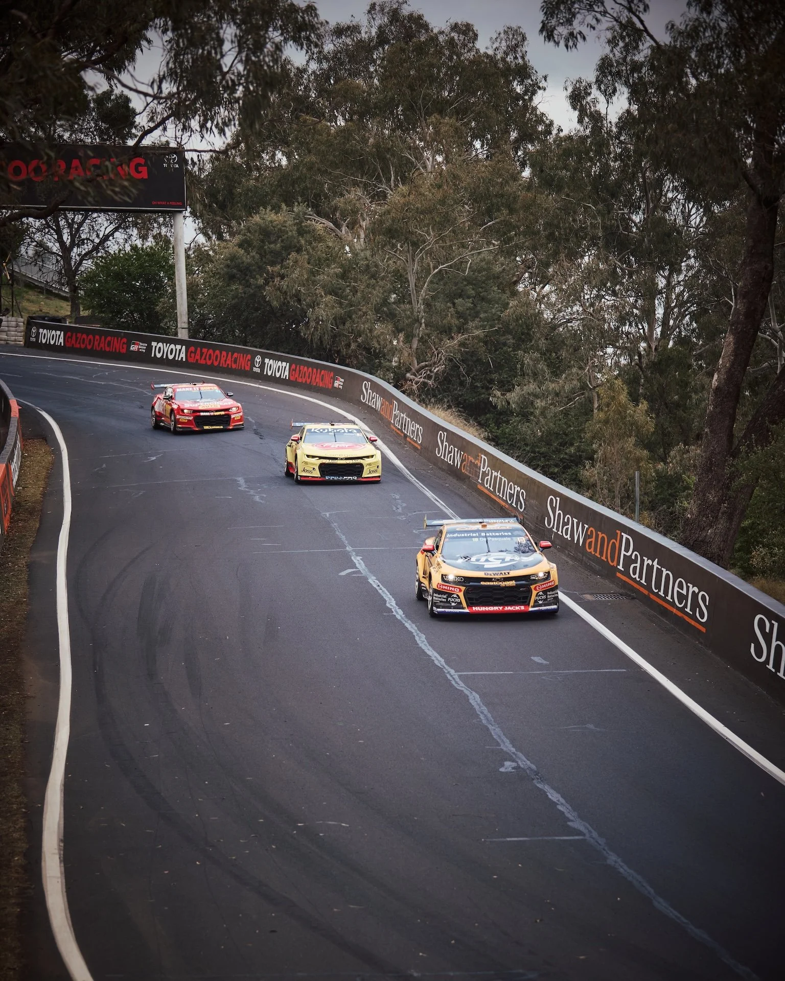 Bathurst-2025-0635 2.JPG